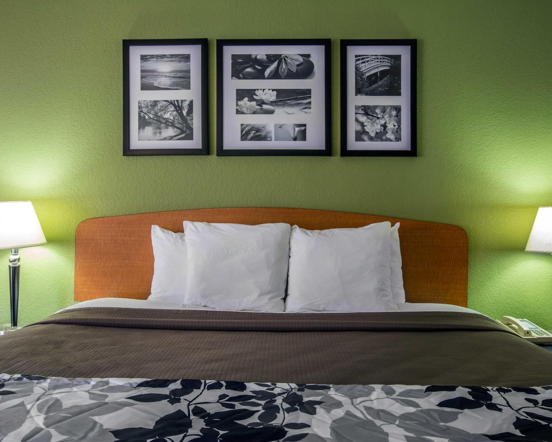 Sleep Inn & Suites near Sports World Blvd.