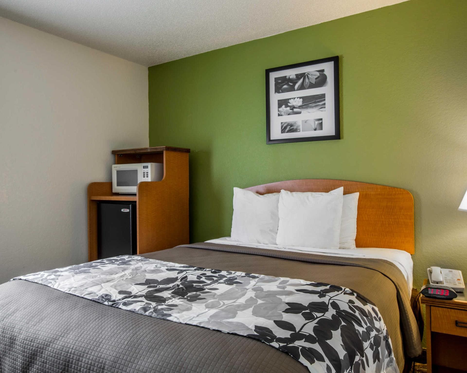 Sleep Inn & Suites near Sports World Blvd. photo 3