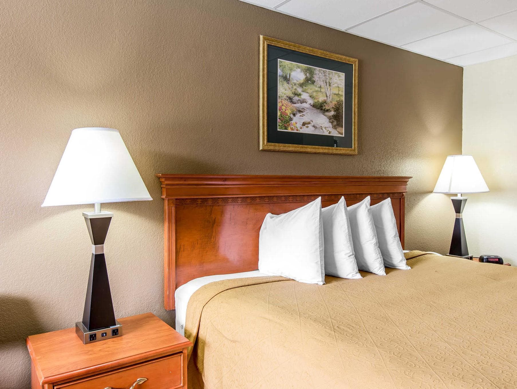 Econo Lodge Inn & Suites Gatlinburg at the Convention Center photo 2