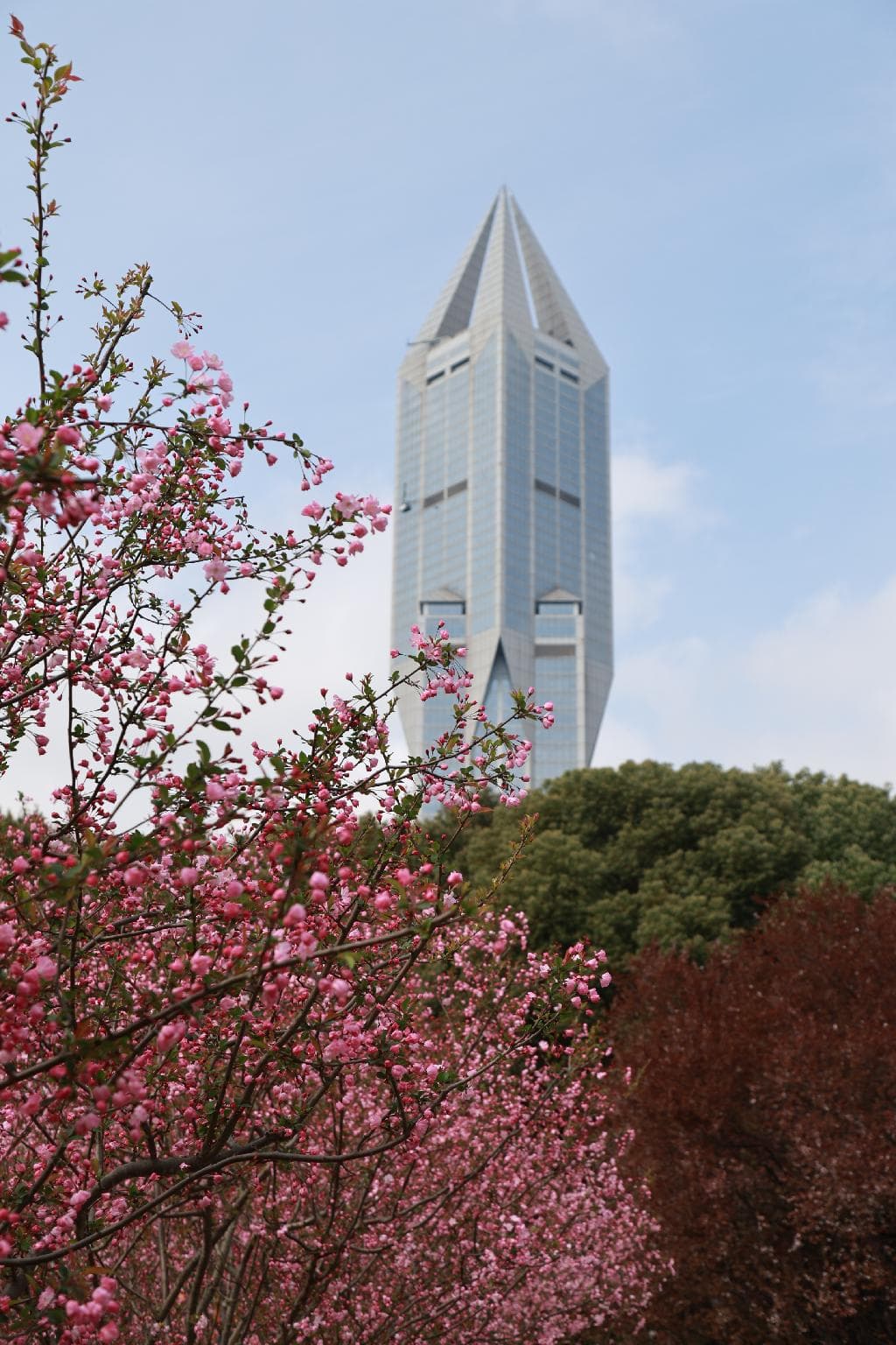 JW Marriott Hotel Shanghai at Tomorrow Square photo 5