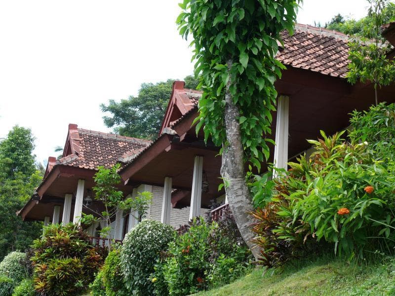 Puri Bunga Beach Cottages Hotel photo 2