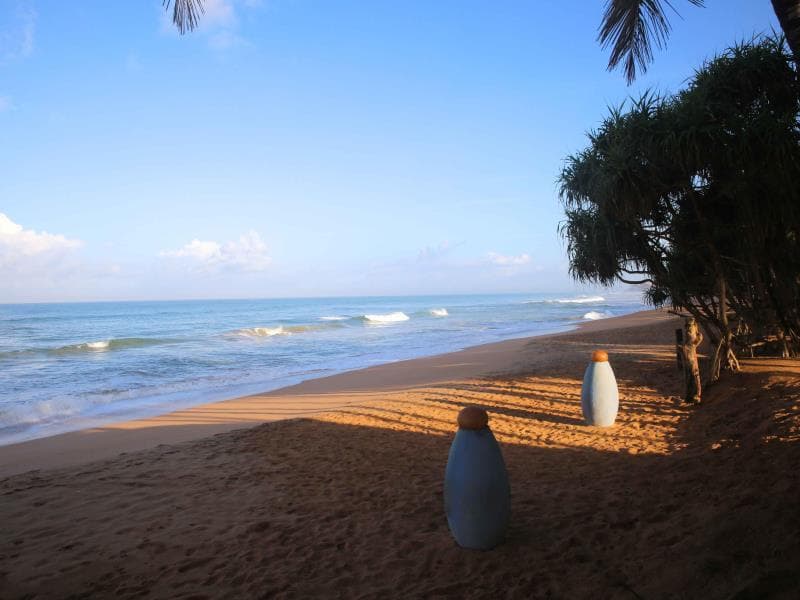 Thejan Beach Cabanas Bentota photo 4