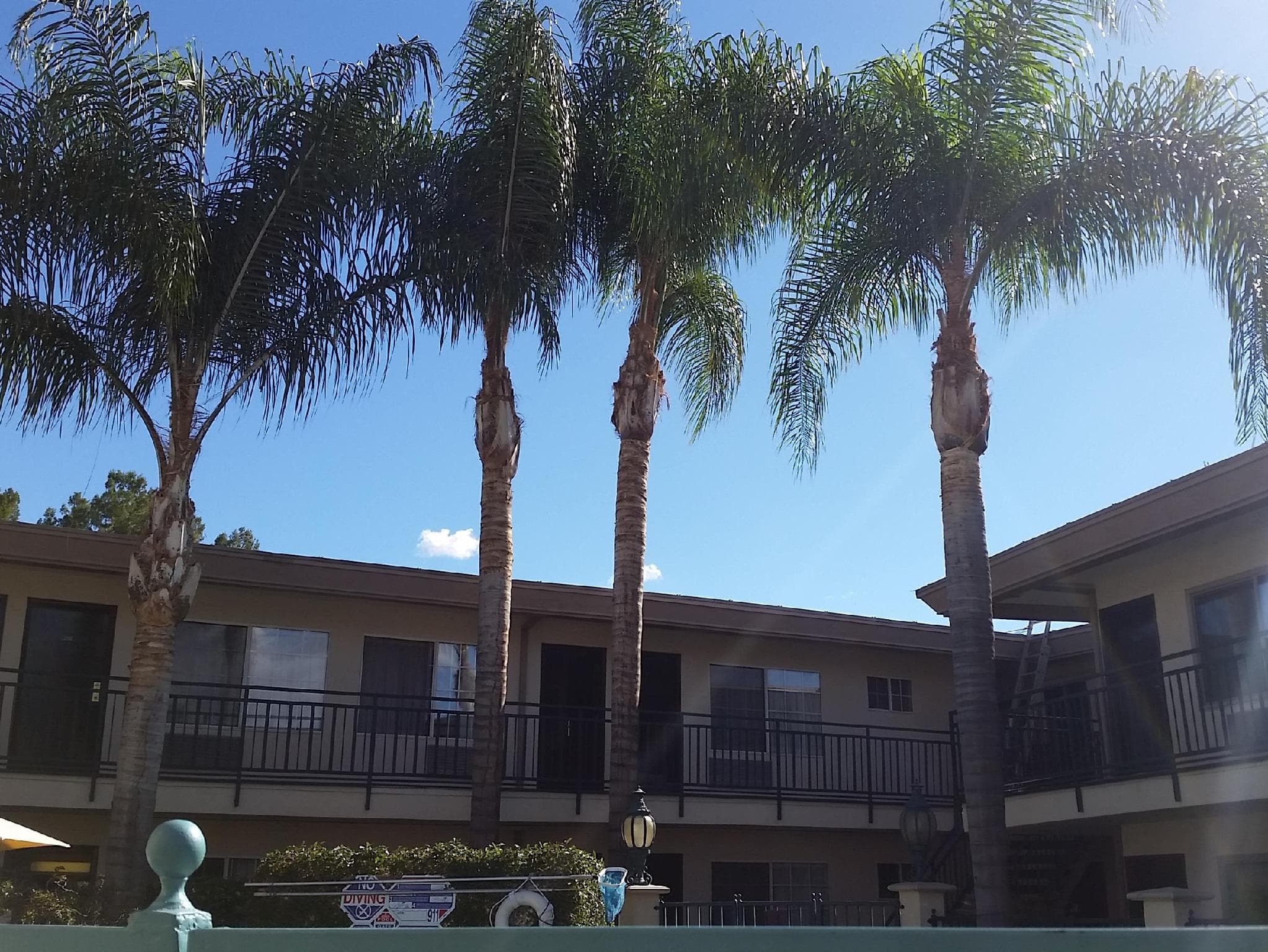Tarzana Inn photo 4