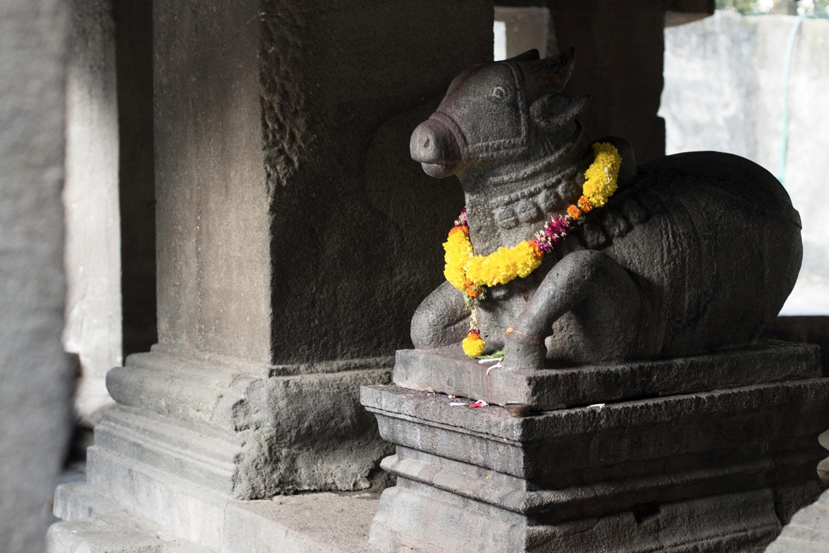 Conrad Pune photo 4