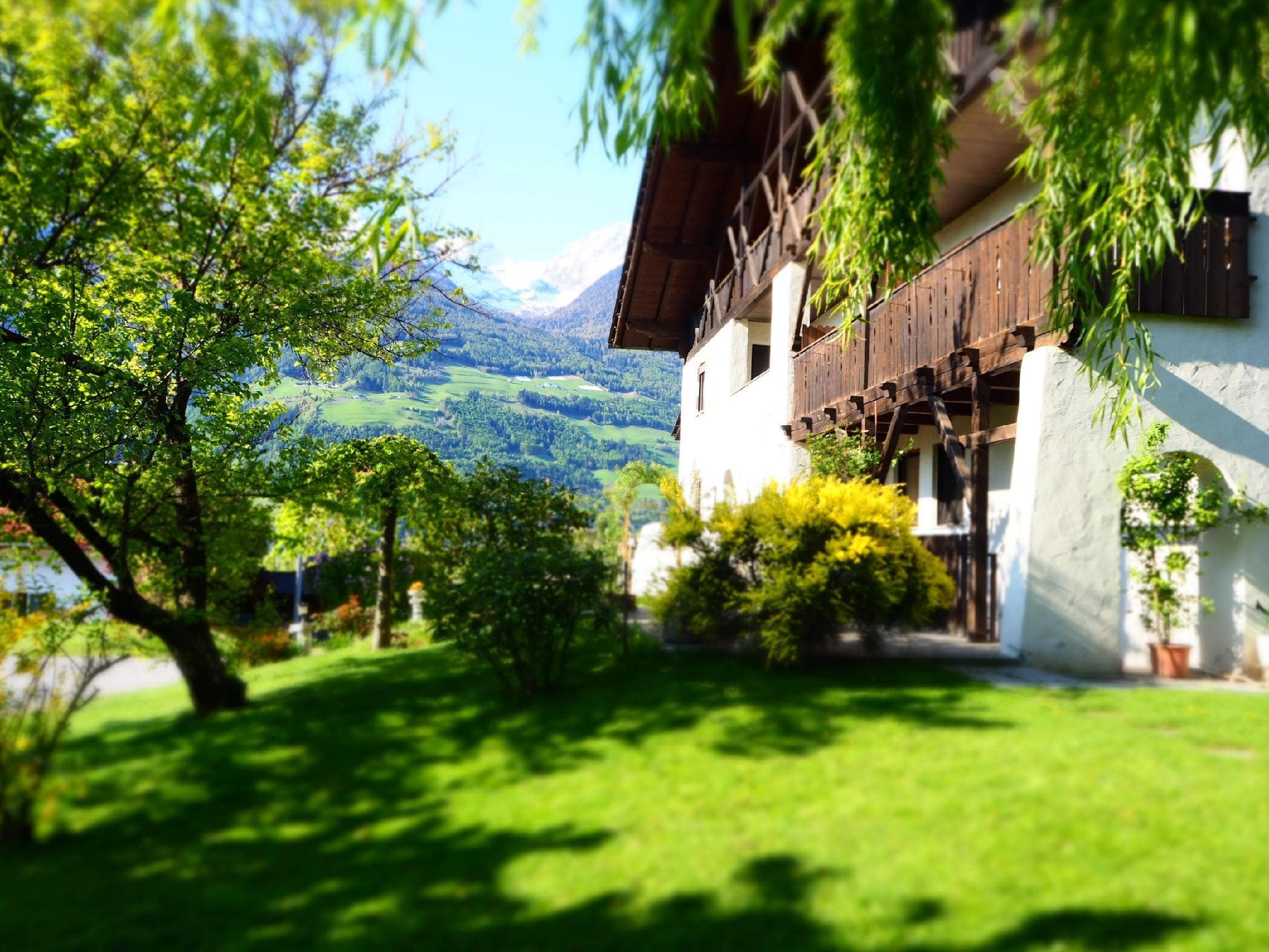 Pension Feldgärtenhof photo 5