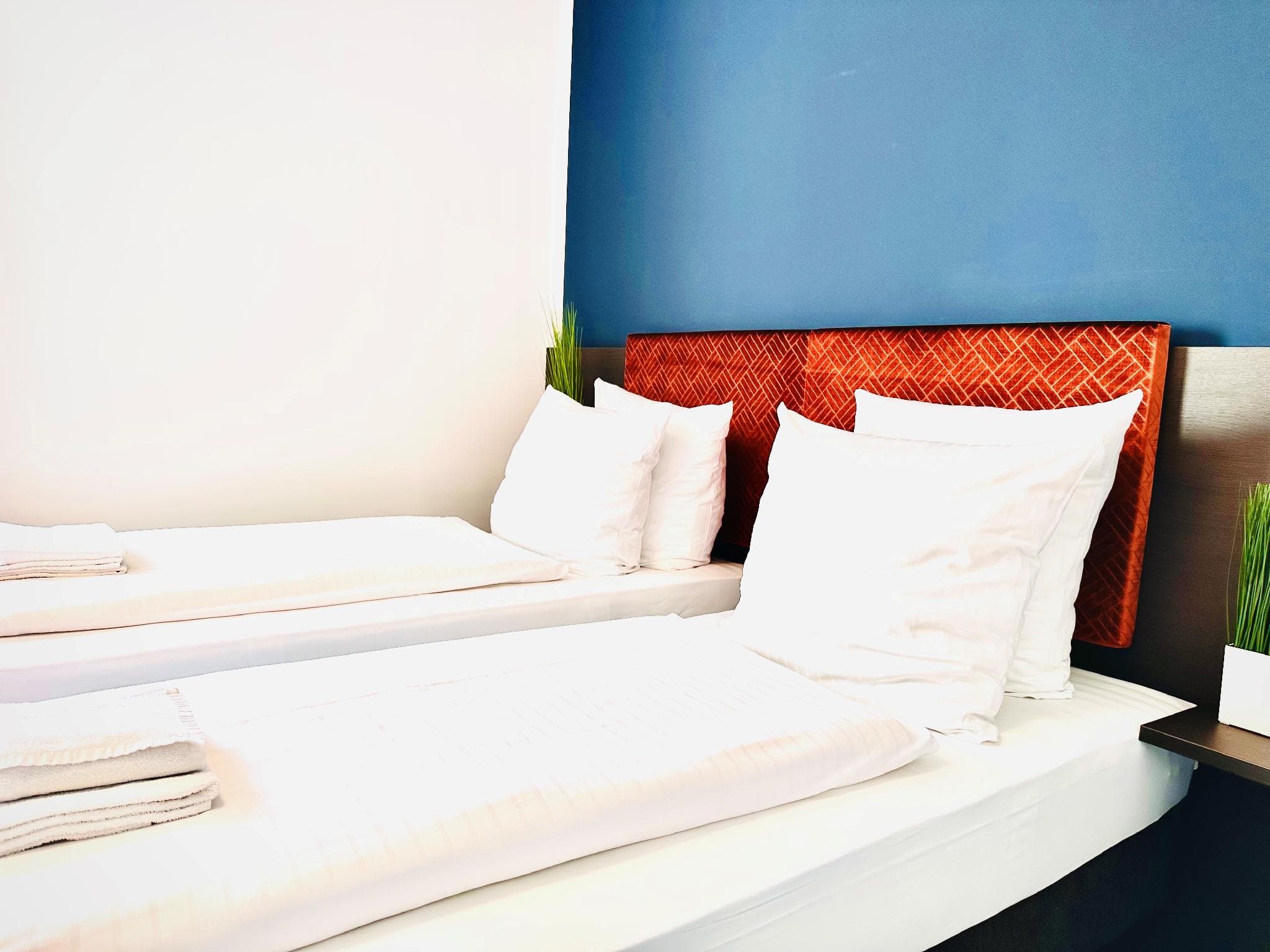 Arthotel Ambassador photo 3