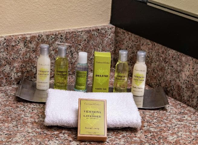 DoubleTree by Hilton Orlando Theme Park Resort photo 2