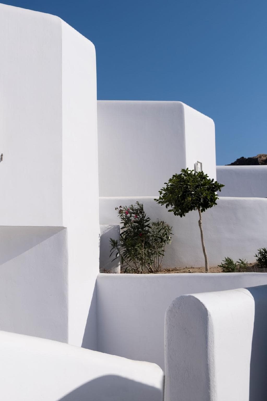 Amazon Mykonos Resort and Spa photo 5