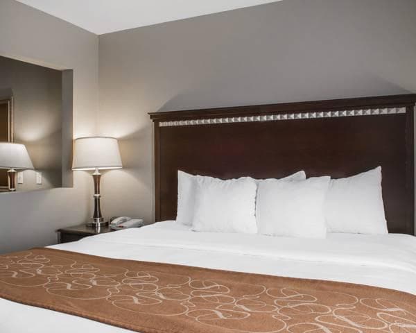 Comfort Suites Near Texas A&M - Corpus Christi photo 5