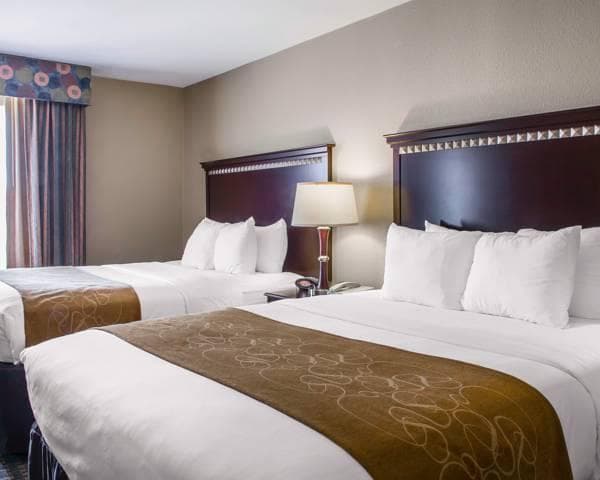 Comfort Suites Near Texas A&M - Corpus Christi photo 3