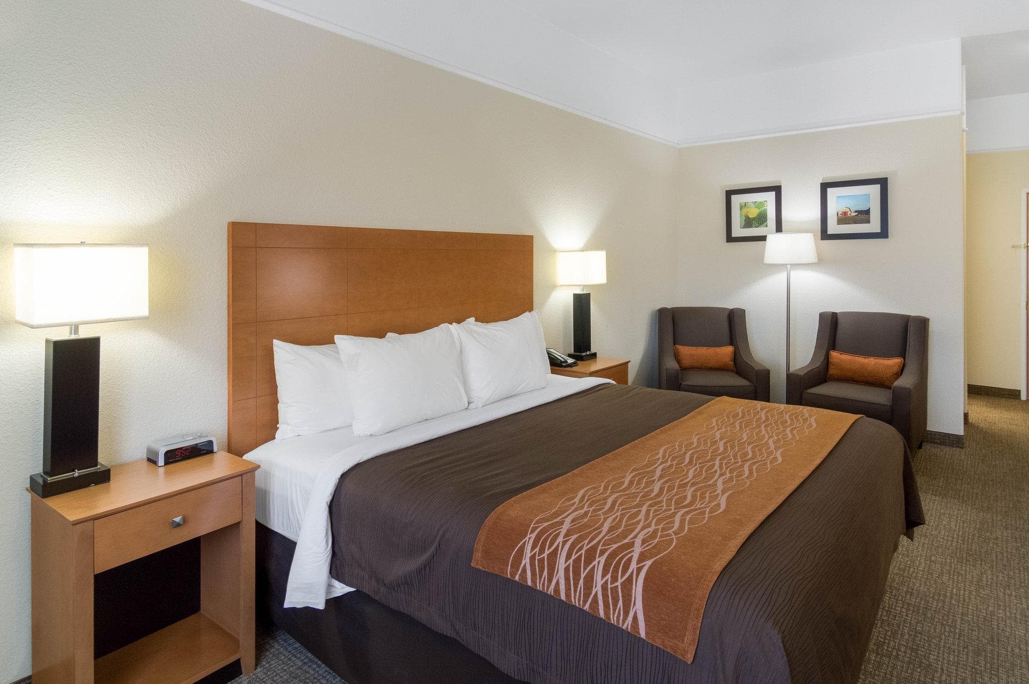 Comfort Inn & Suites, Odessa I-20 photo 3