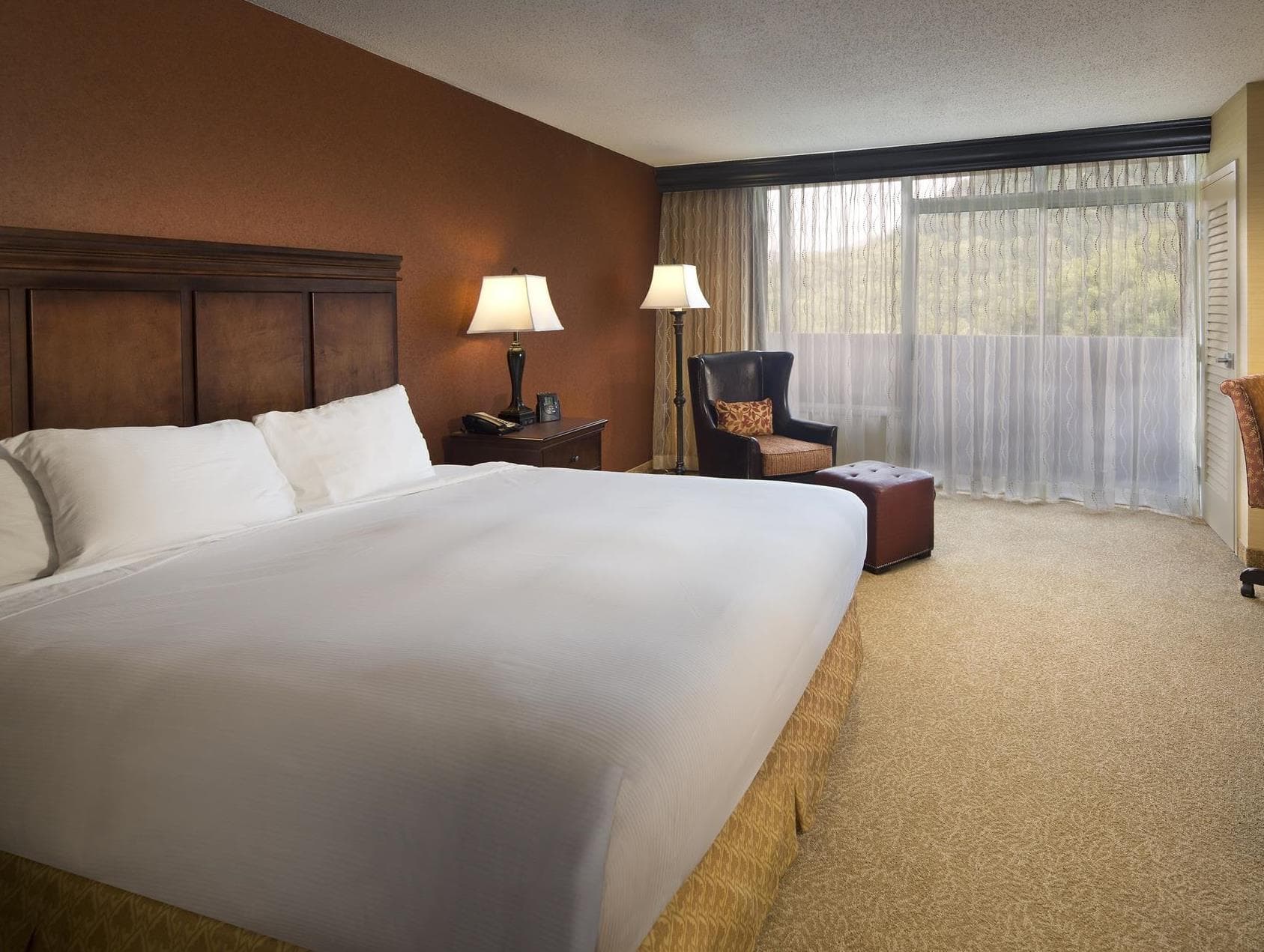 The Park Vista - a DoubleTree by Hilton Hotel - Gatlinburg photo 5