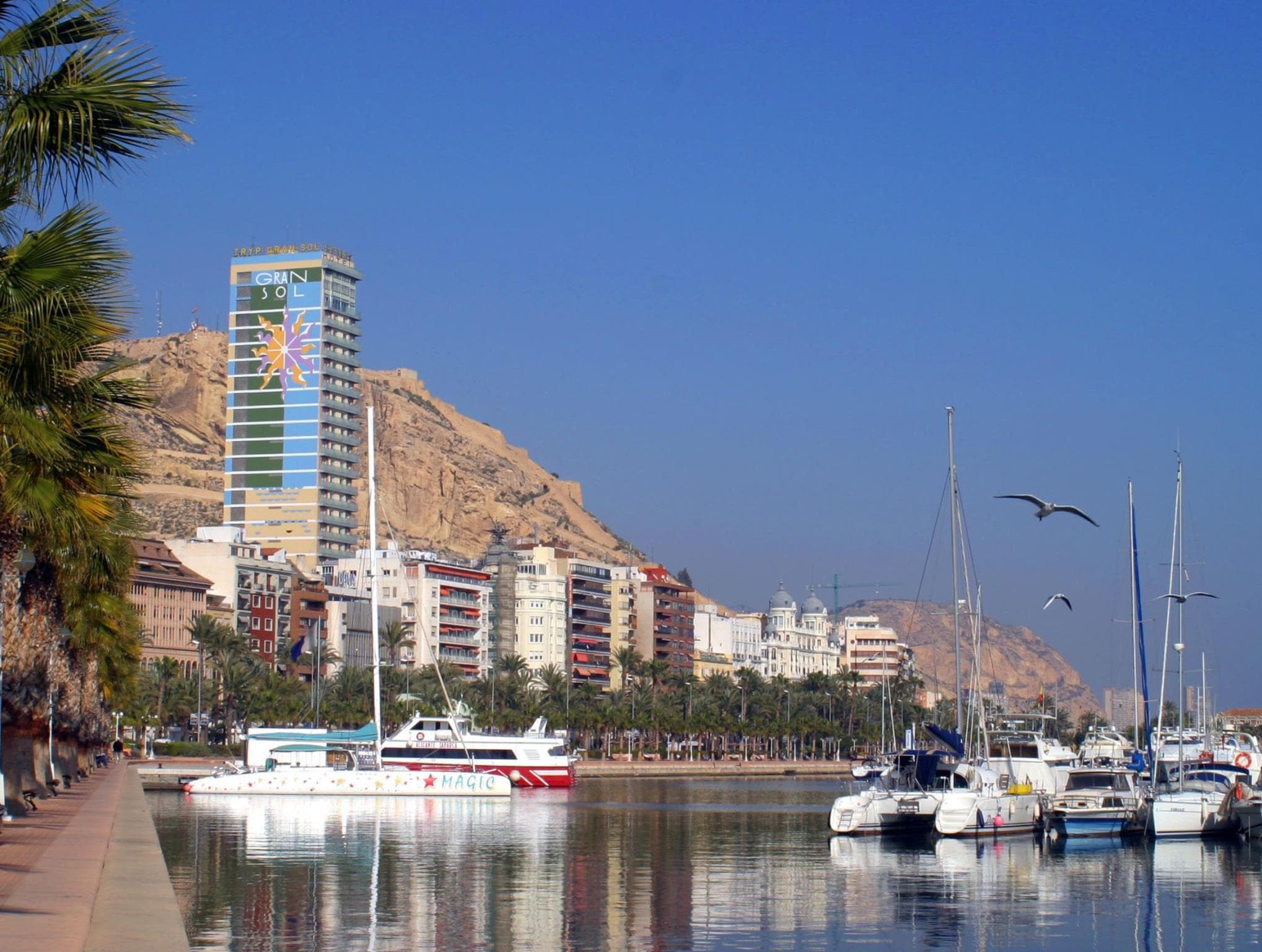Hotel Alicante Gran Sol Affiliated by Meliá photo 3