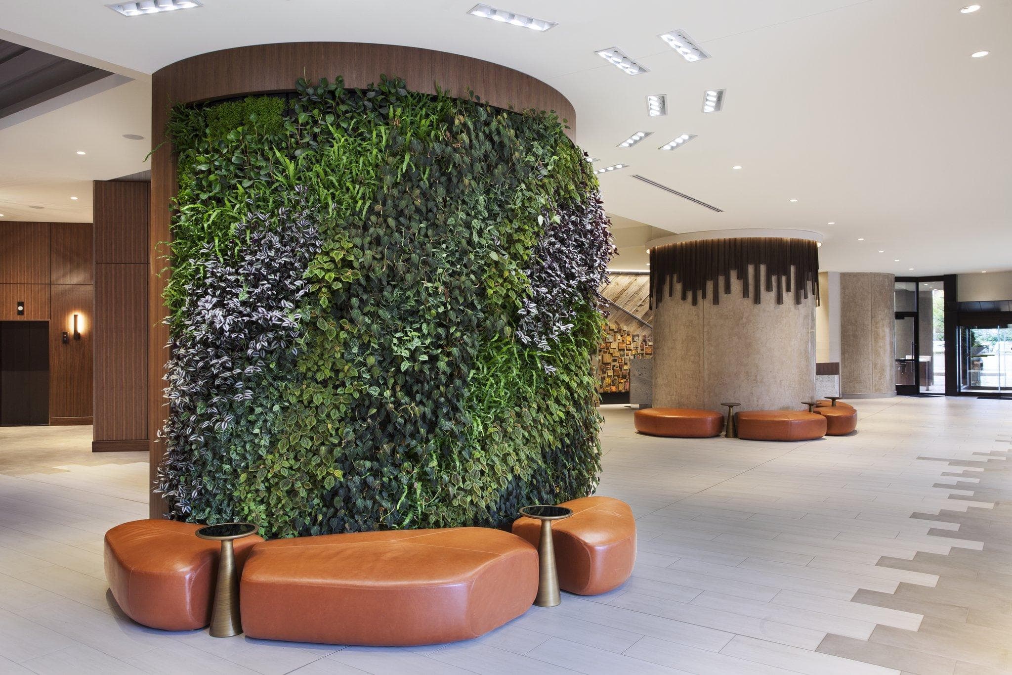 The Westin Chattanooga photo 5