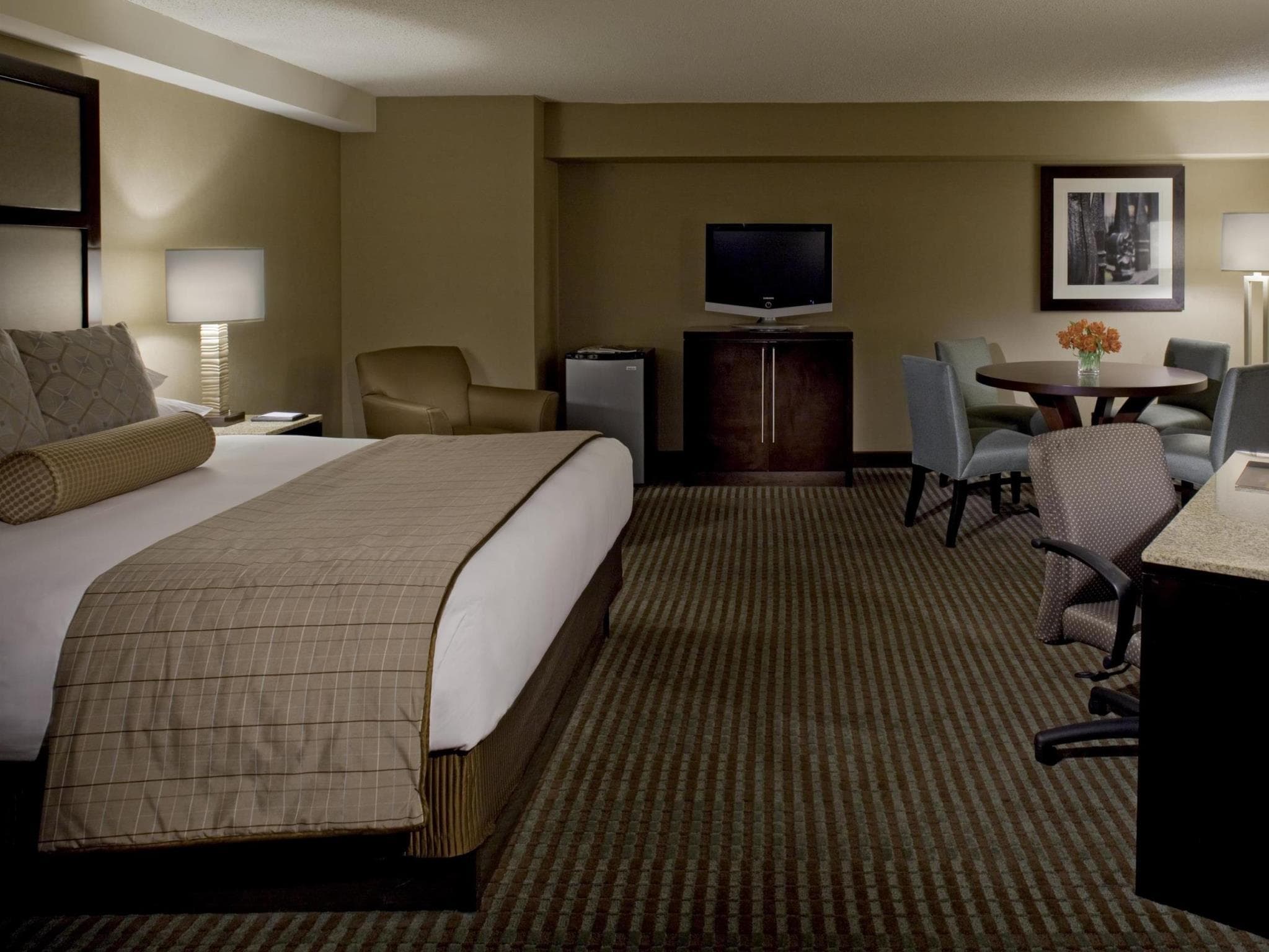 Hyatt Regency Greenville photo 5