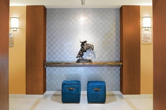 SpringHill Suites by Marriott Fort Worth University photo 4