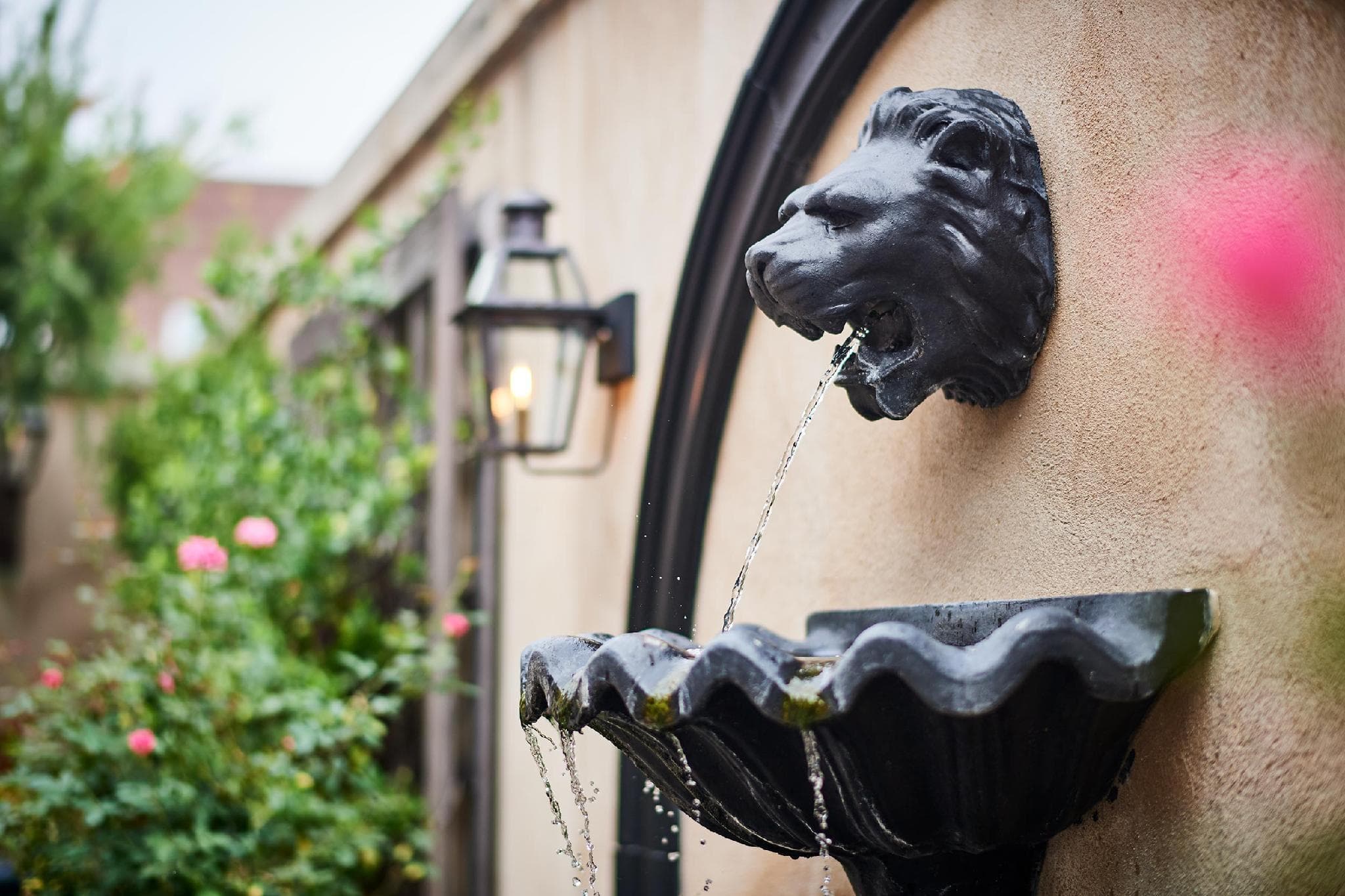 French Quarter Inn photo 5