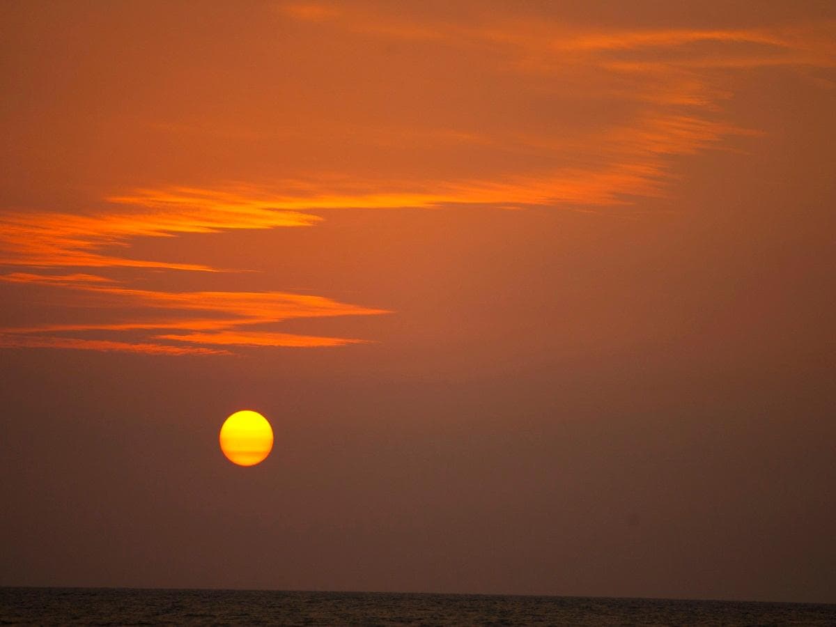 Jetwing Sea photo 5