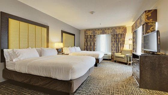 Holiday Inn Express Gonzales By IHG photo 3