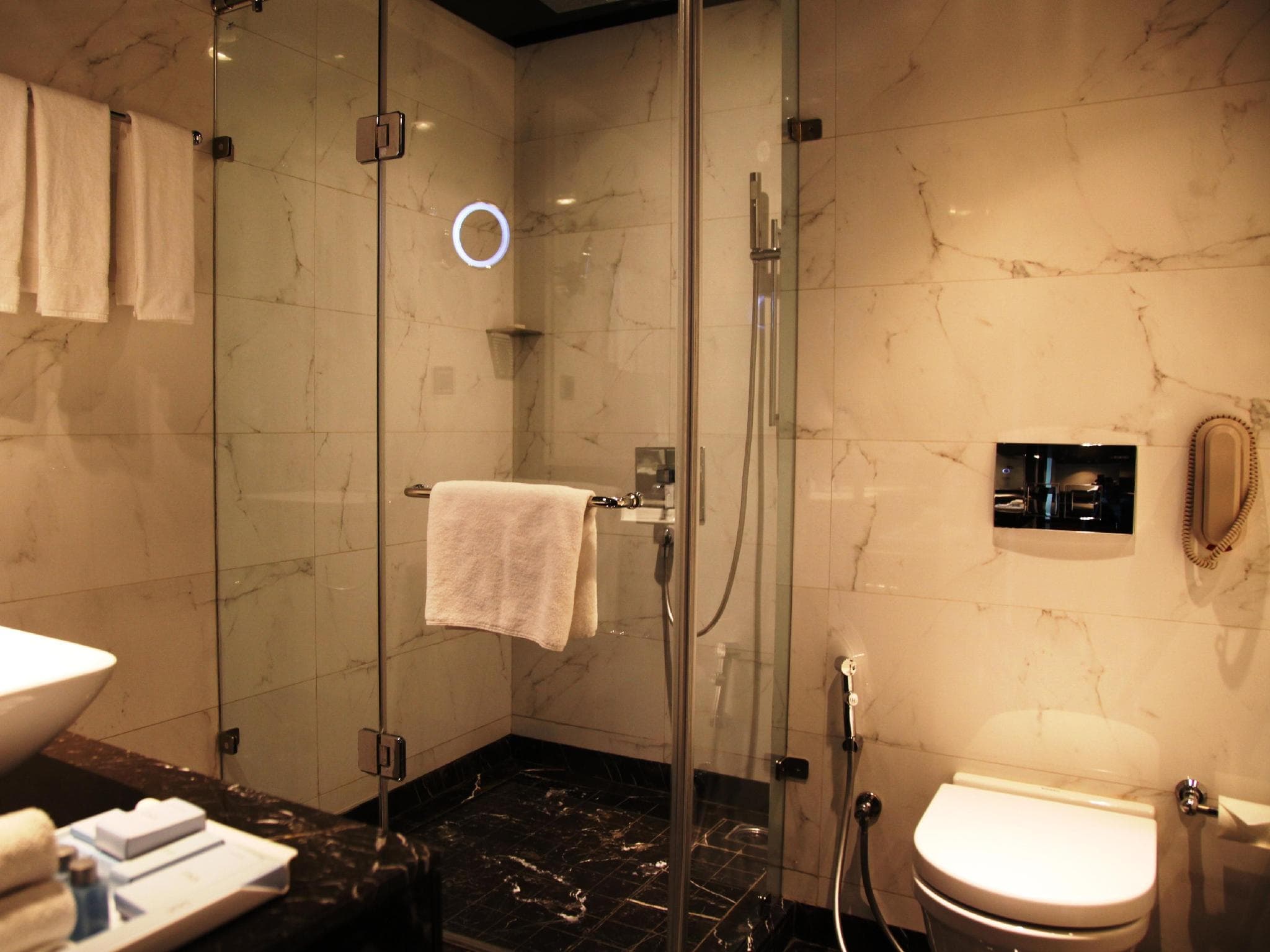 Radisson Blu Hotel New Delhi Paschim Vihar photo 3