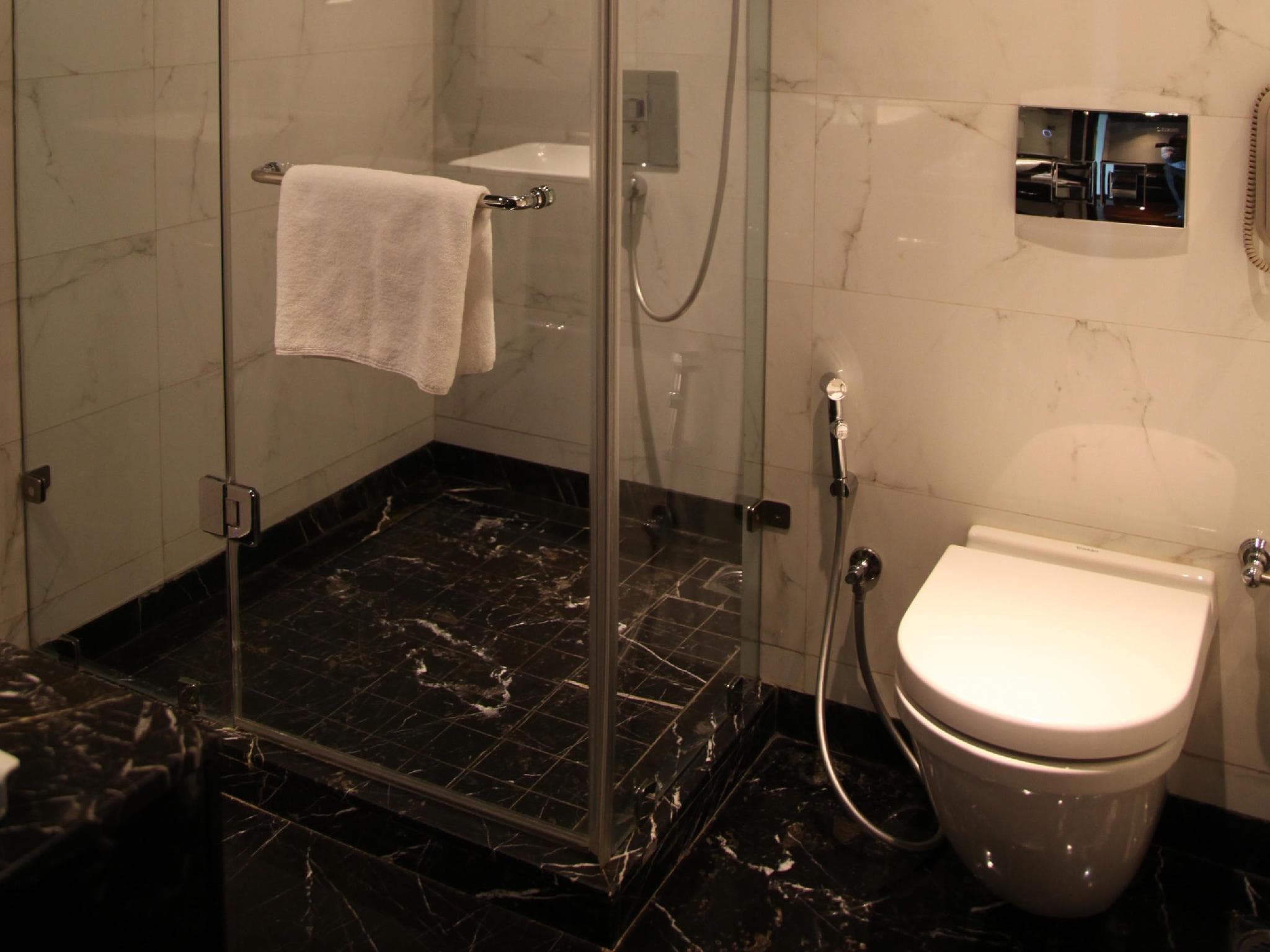 Radisson Blu Hotel New Delhi Paschim Vihar photo 2
