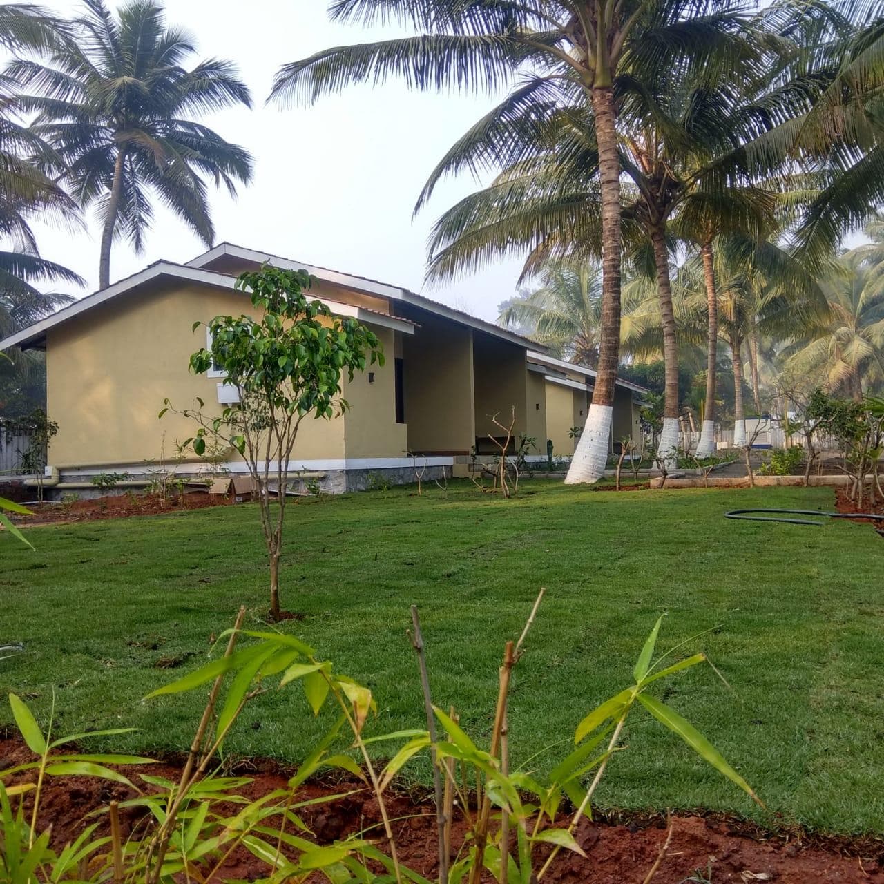 Kapil's Beach Resort photo 4