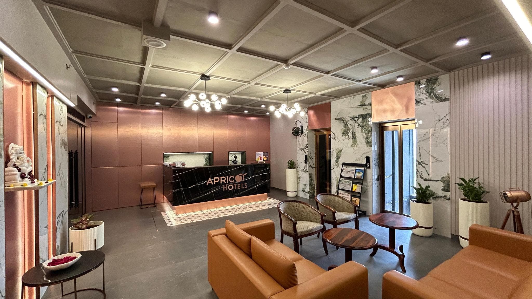 Apricot , Motera photo 4