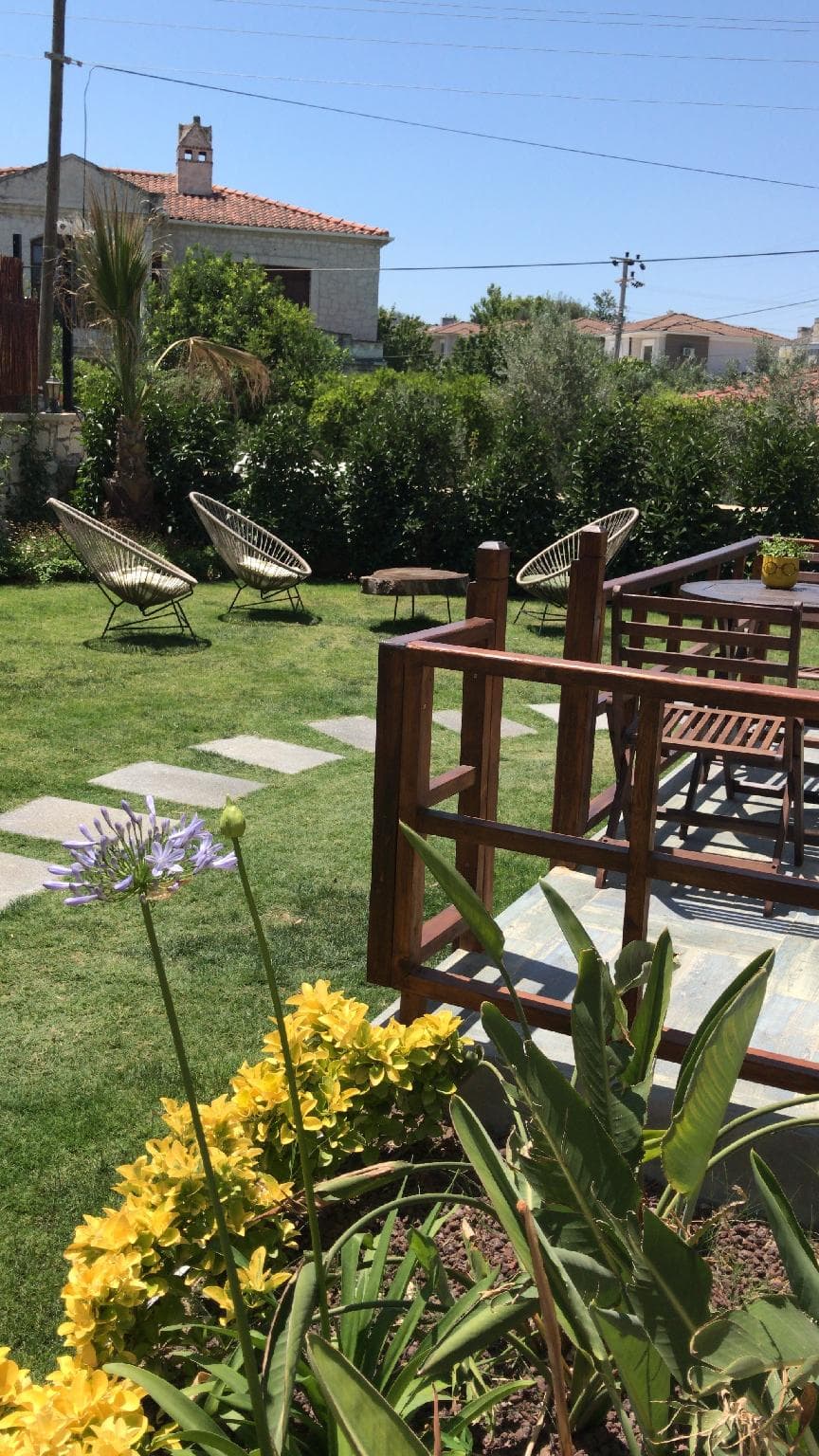 Pupa Alacati photo 3
