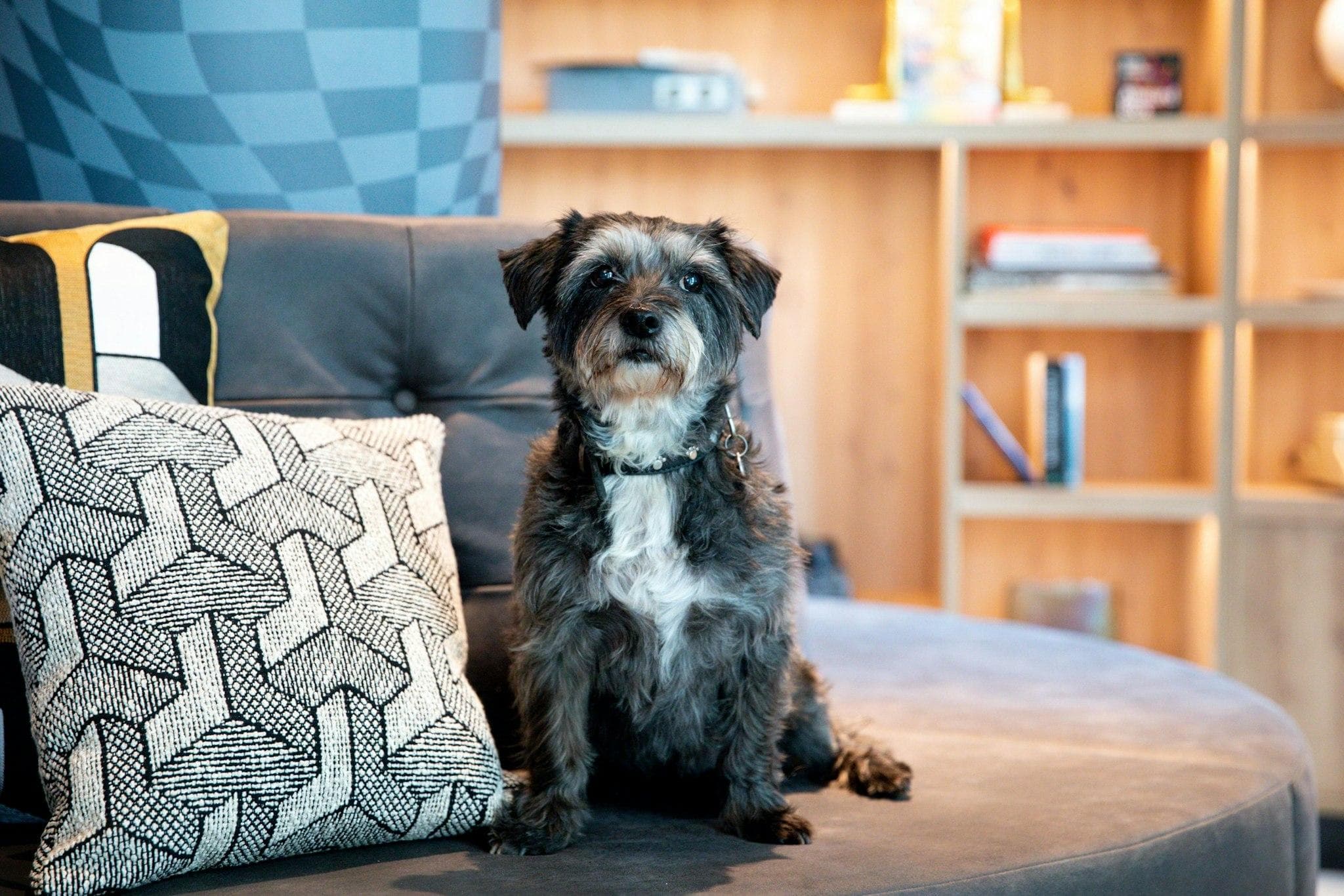 Moxy The Hague photo 5