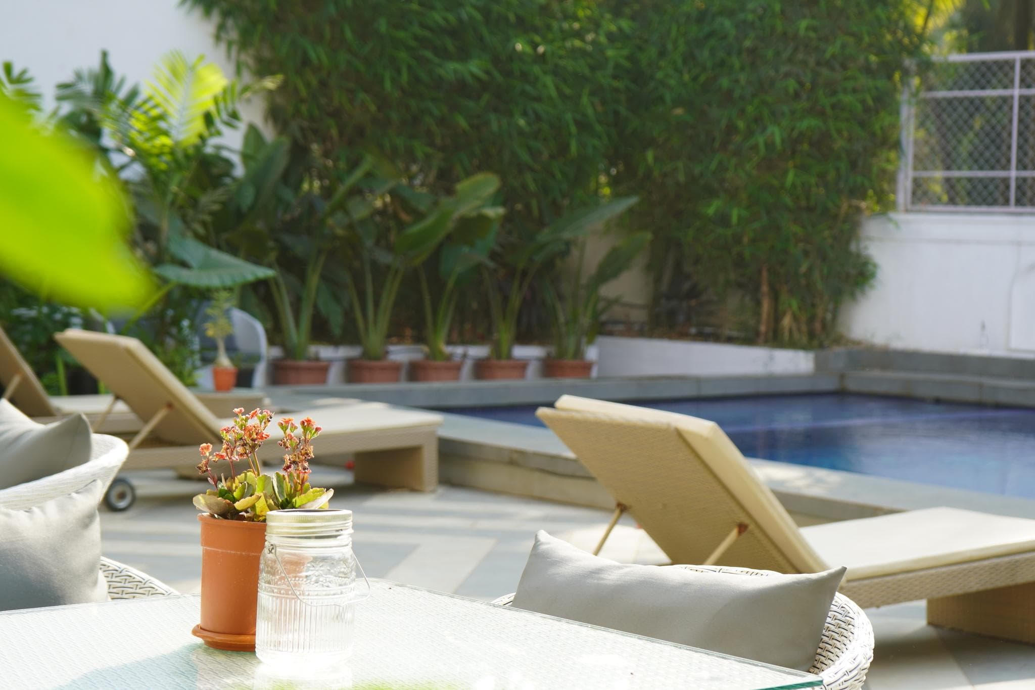 Bougainvillea Boutique Beach House photo 5
