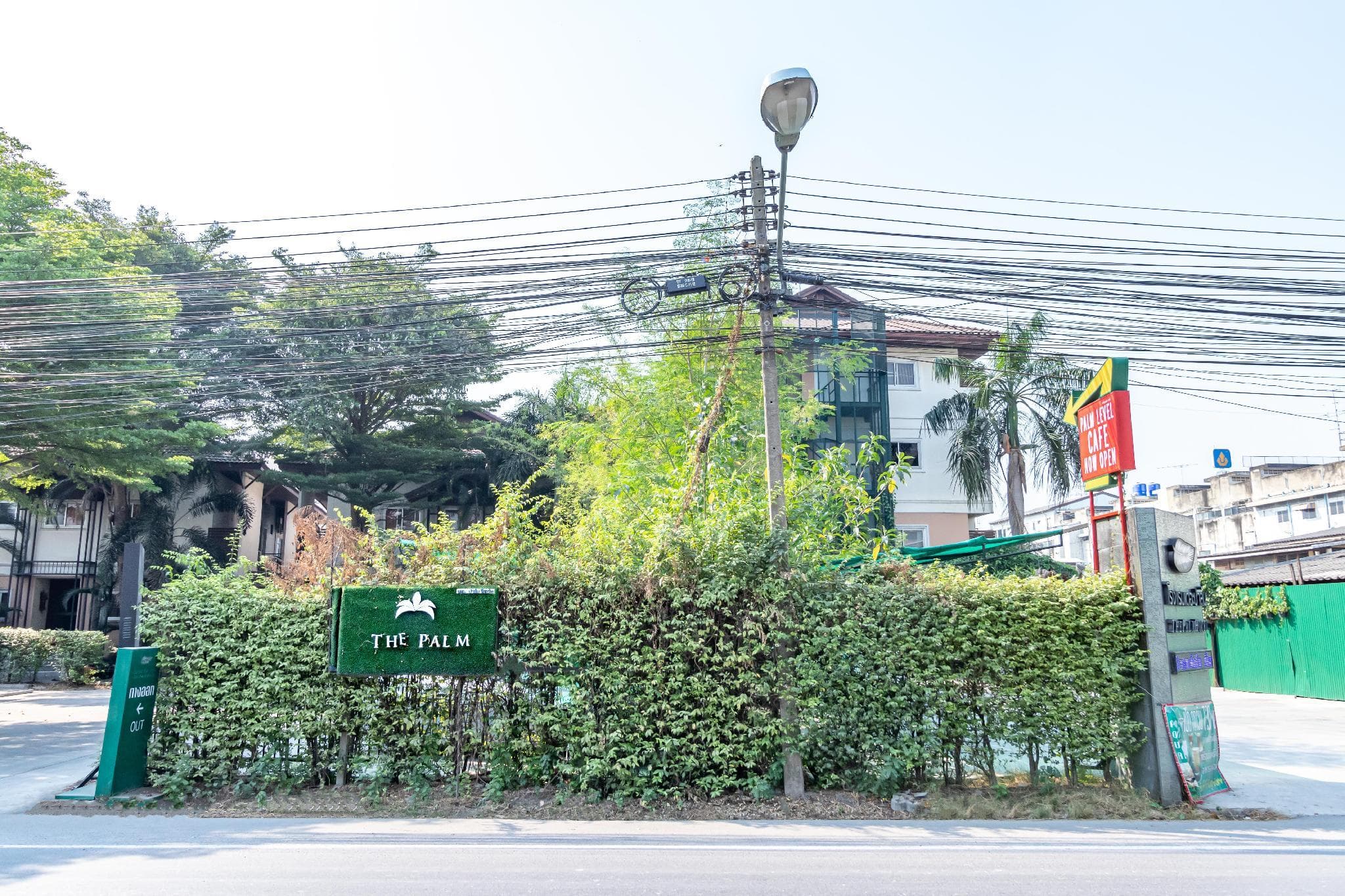 The Palm Hotel photo 4