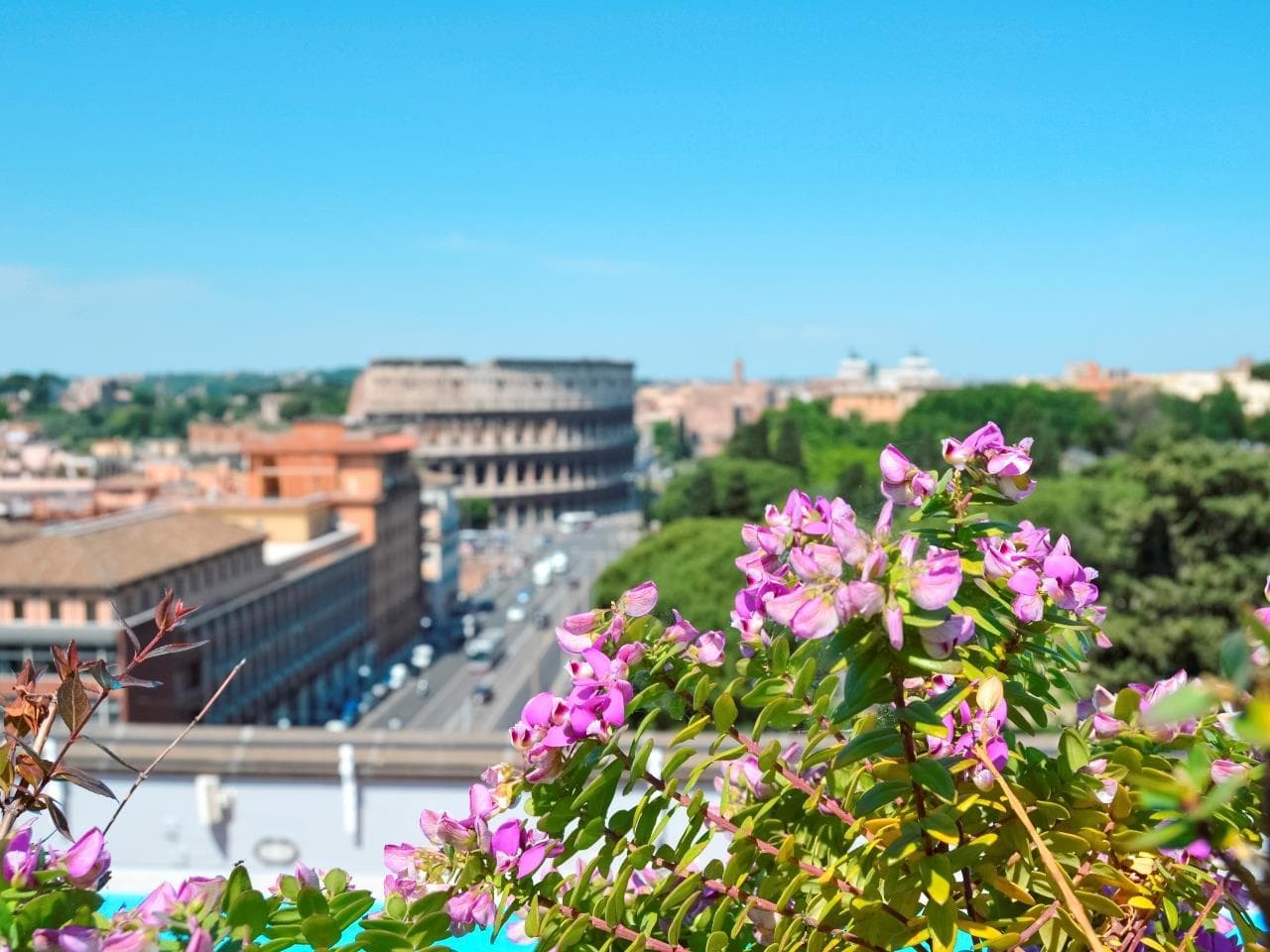 Mercure Roma Centro Colosseo Hotel photo 5