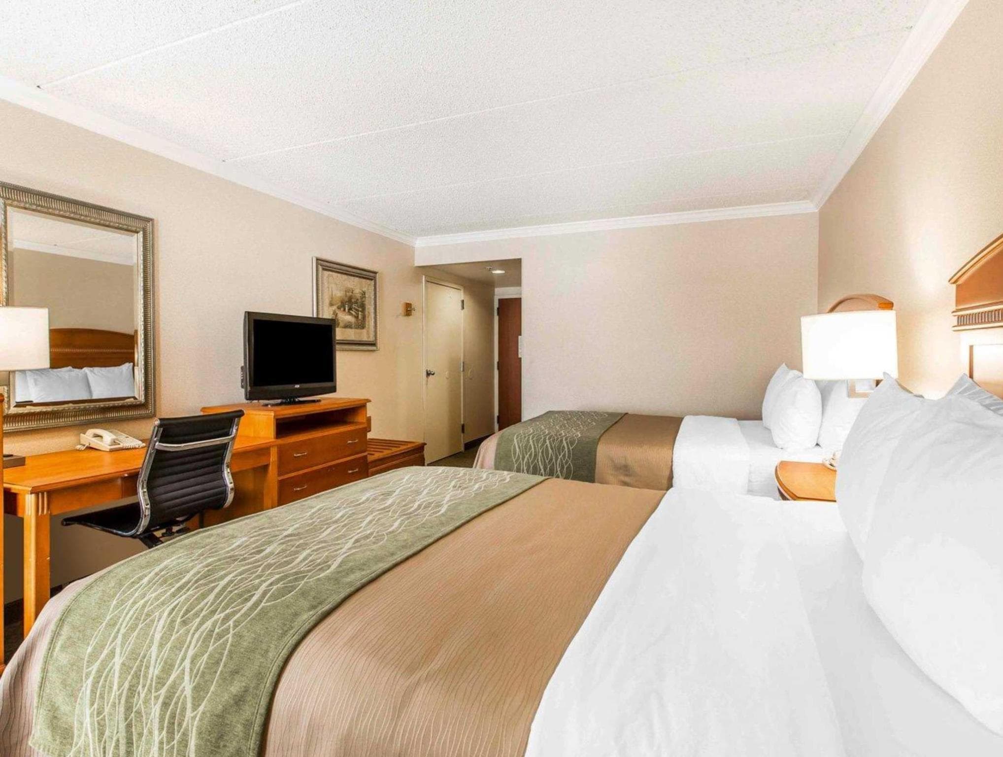 Comfort Inn Anaheim Resort photo 4