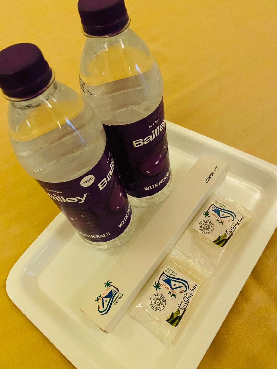 Durva Palace Hotel photo 2