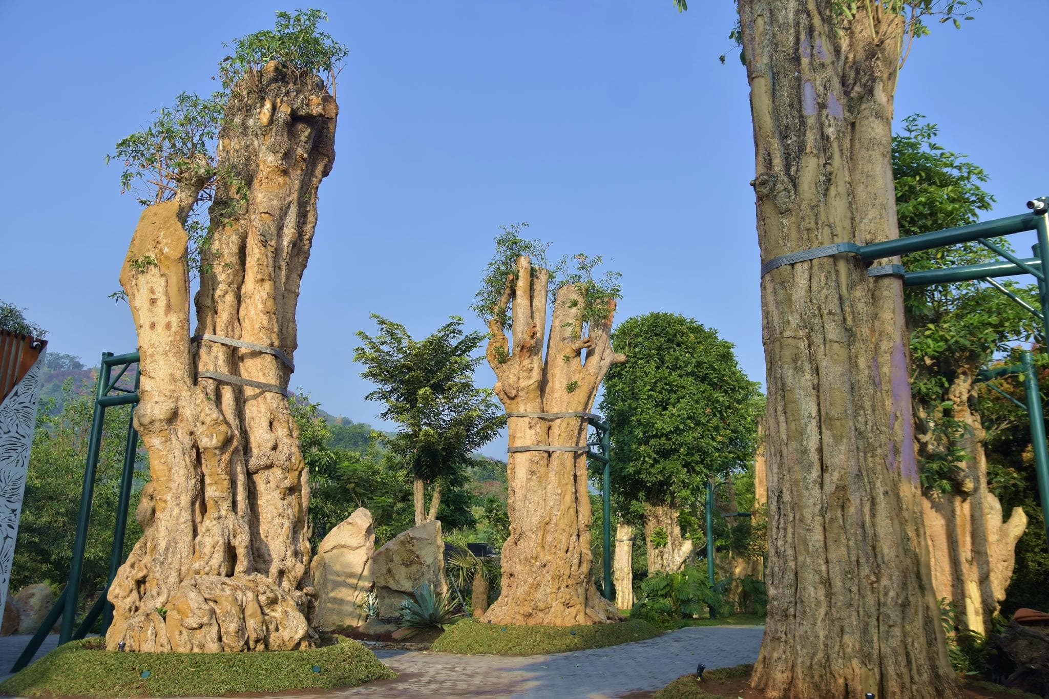 SARGA Earthing Resort photo 4