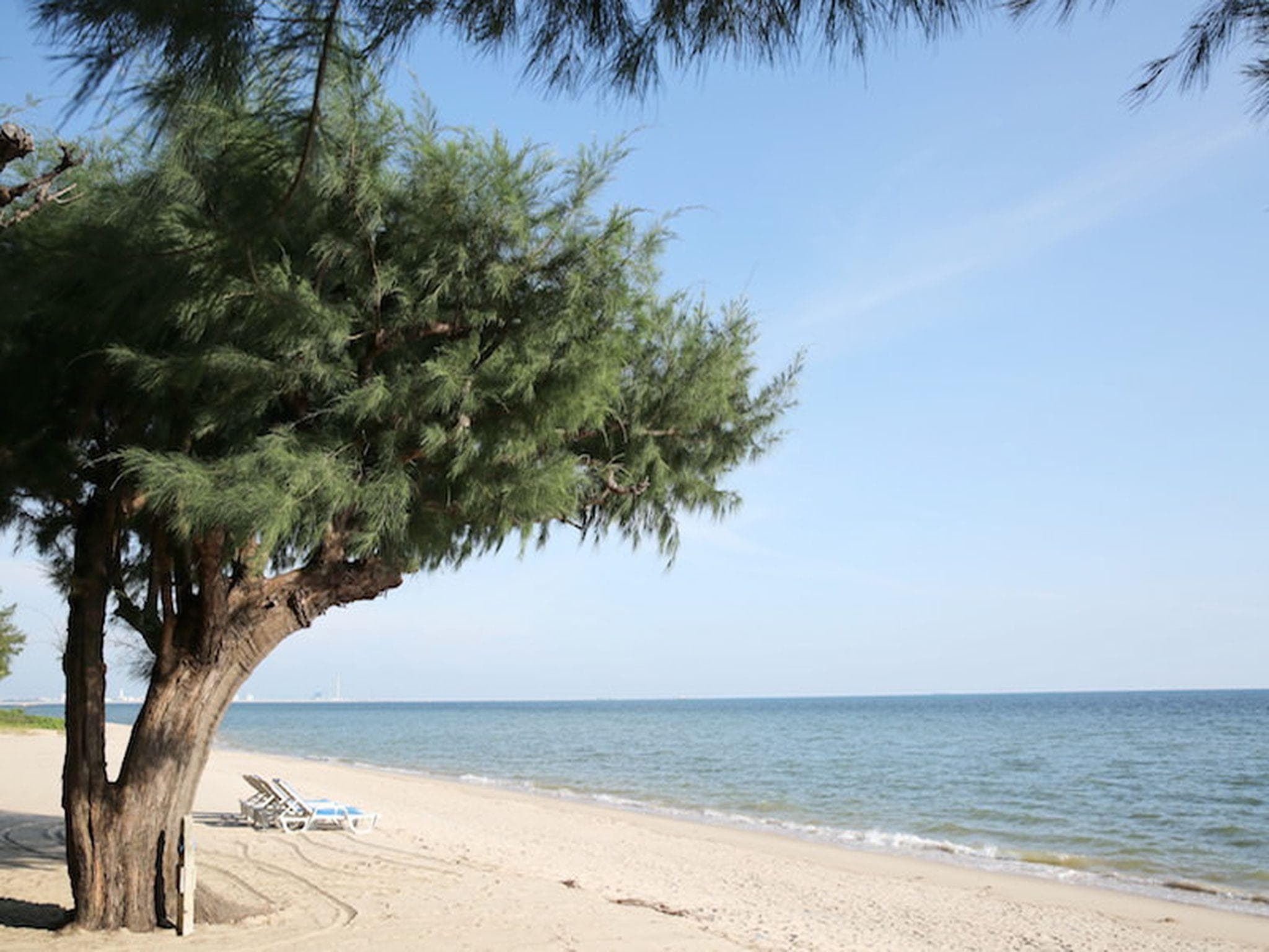 Purimas Beach Hotel & Spa photo 3