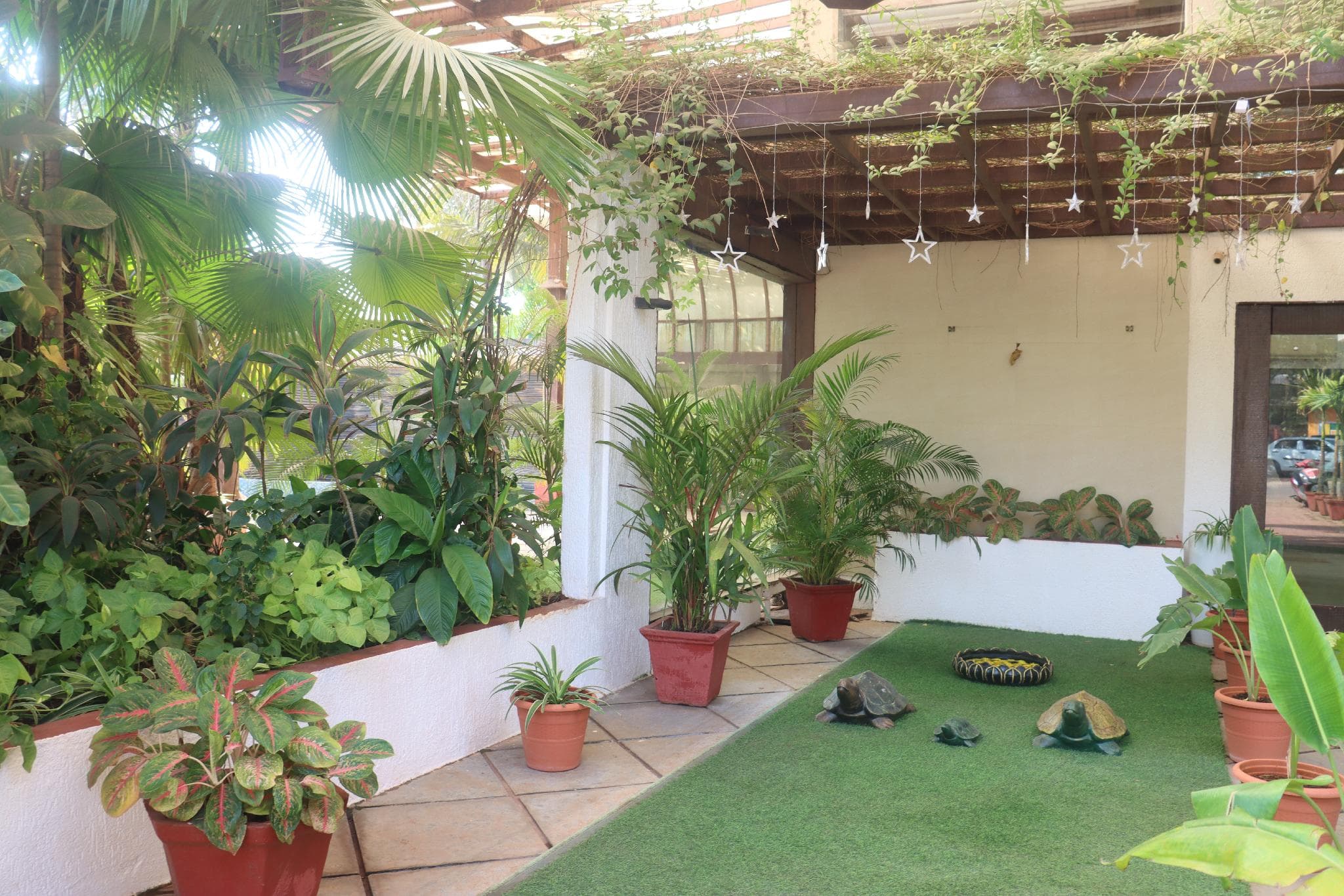 Turtle Beach Resort - Morjim photo 5