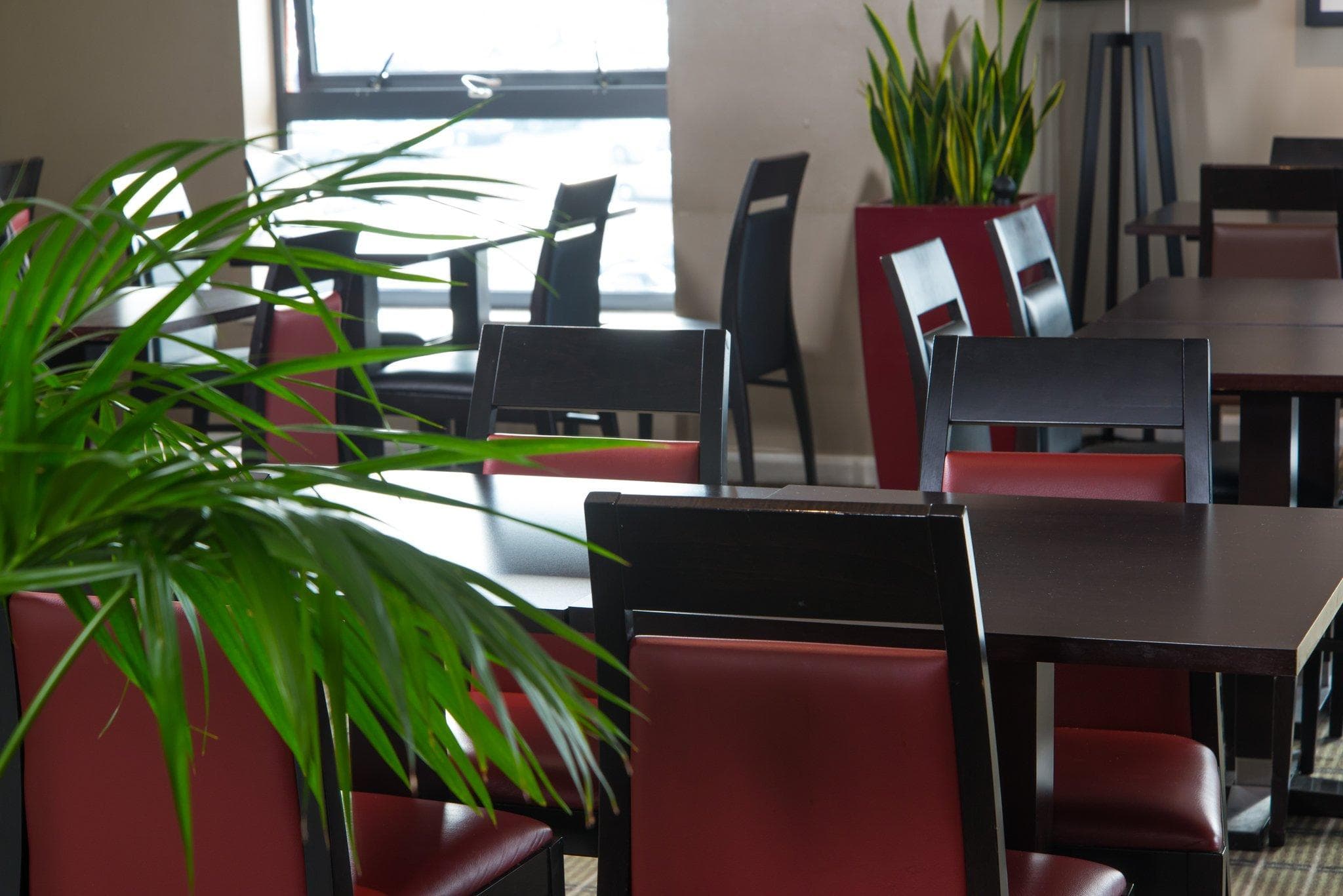 Holiday Inn Express London Luton Airport By IHG photo 5