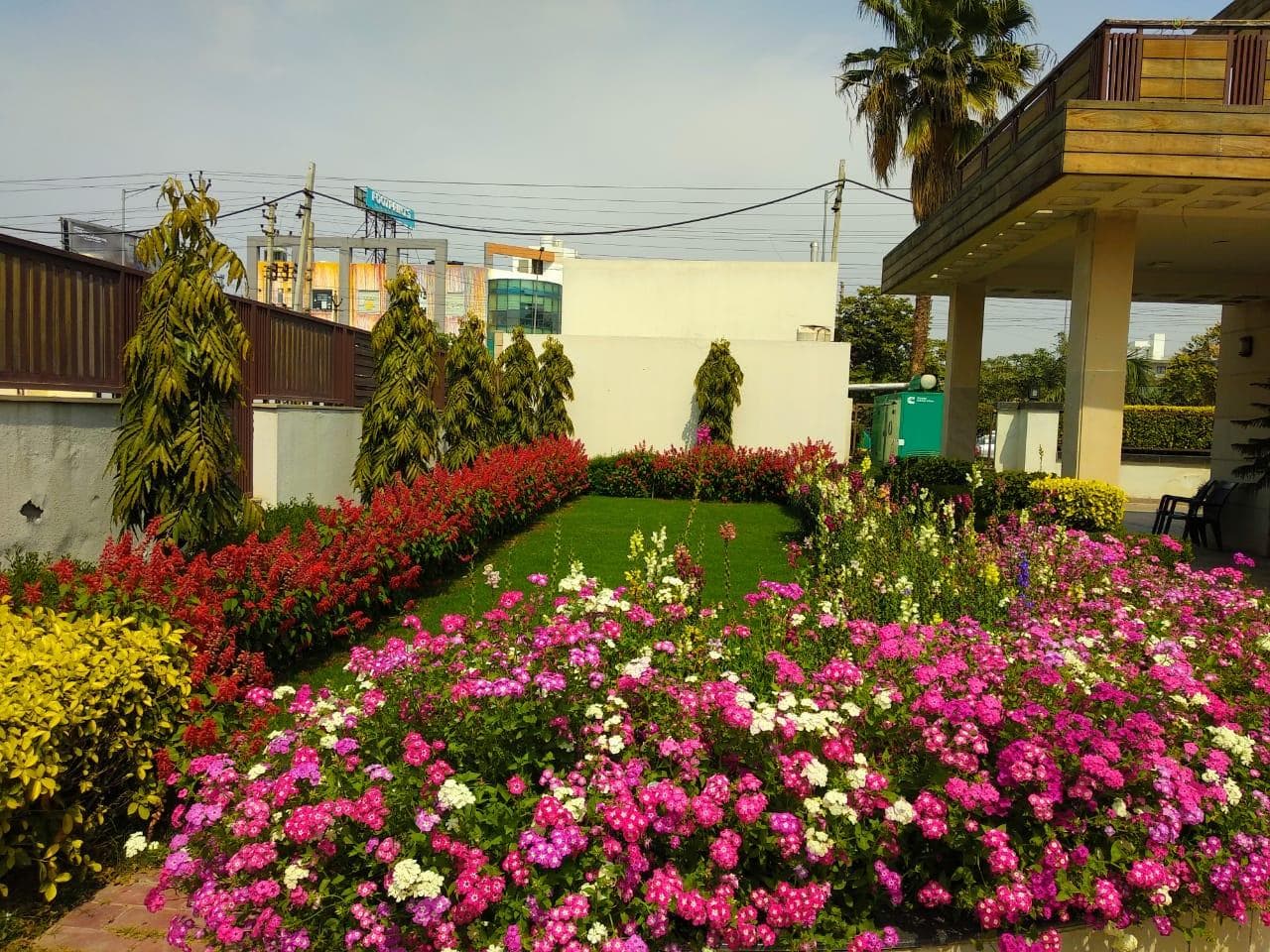 When In Gurgaon - ARTEMIS HOSPITAL 1 Min Walk photo 5