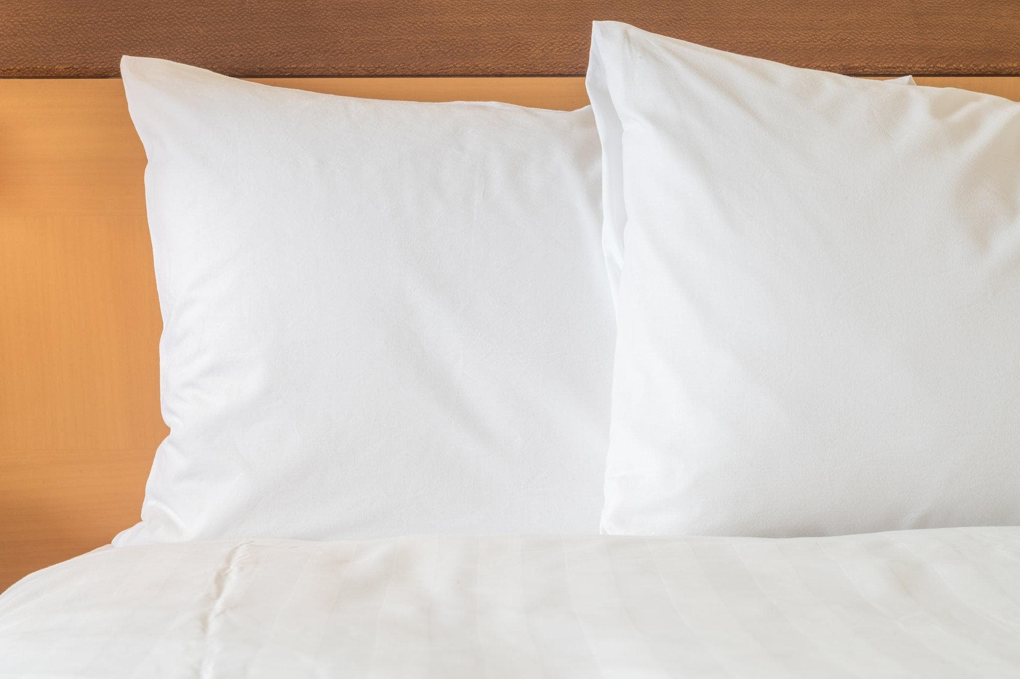 Holiday Inn Raleigh-Durham Airport By IHG photo 2