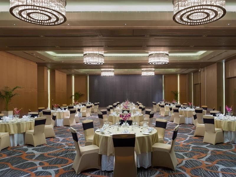 Holiday Inn New Delhi Aerocity By IHG photo 4