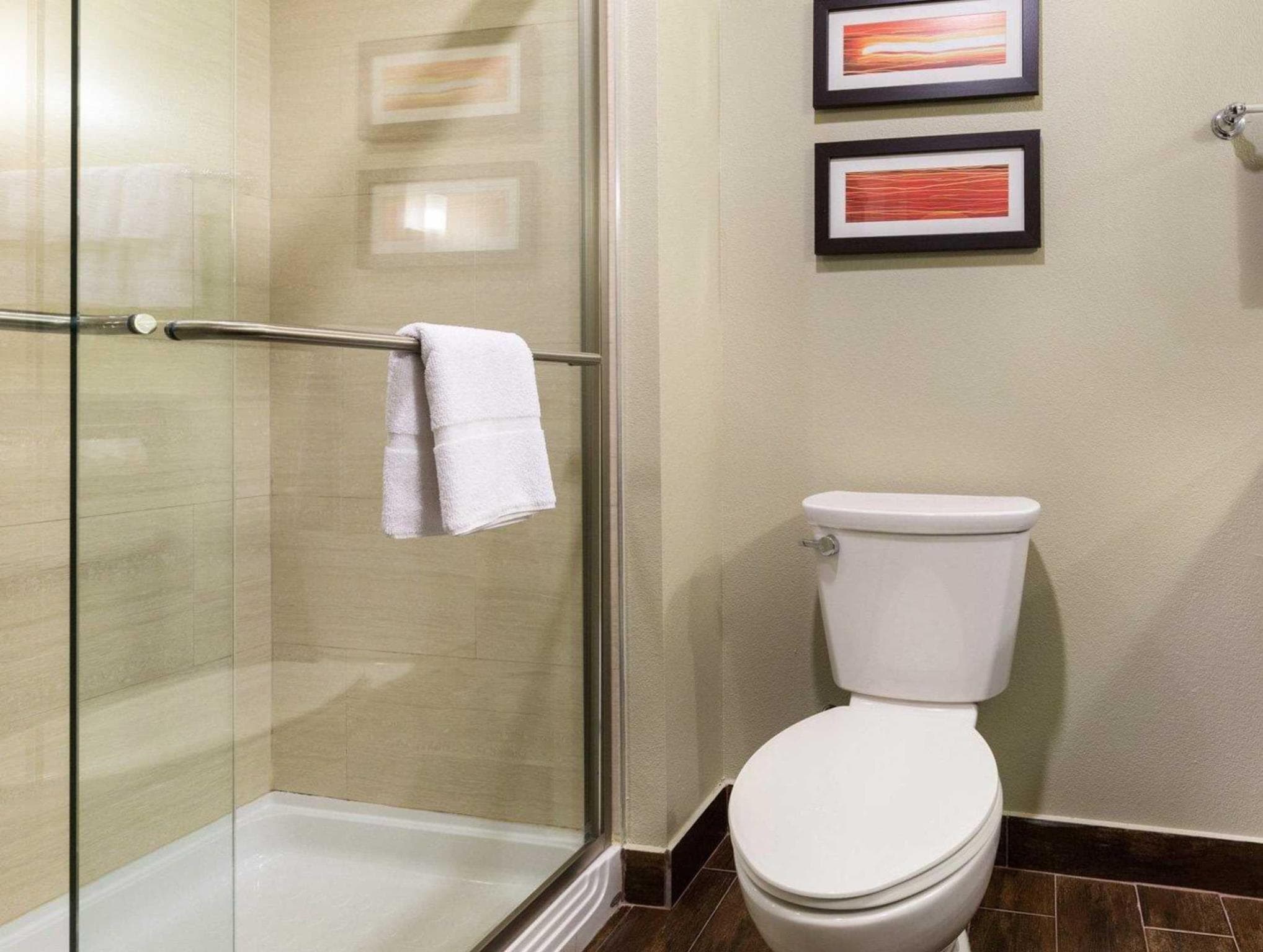 Comfort Suites near Westchase on Beltway 8 photo 4