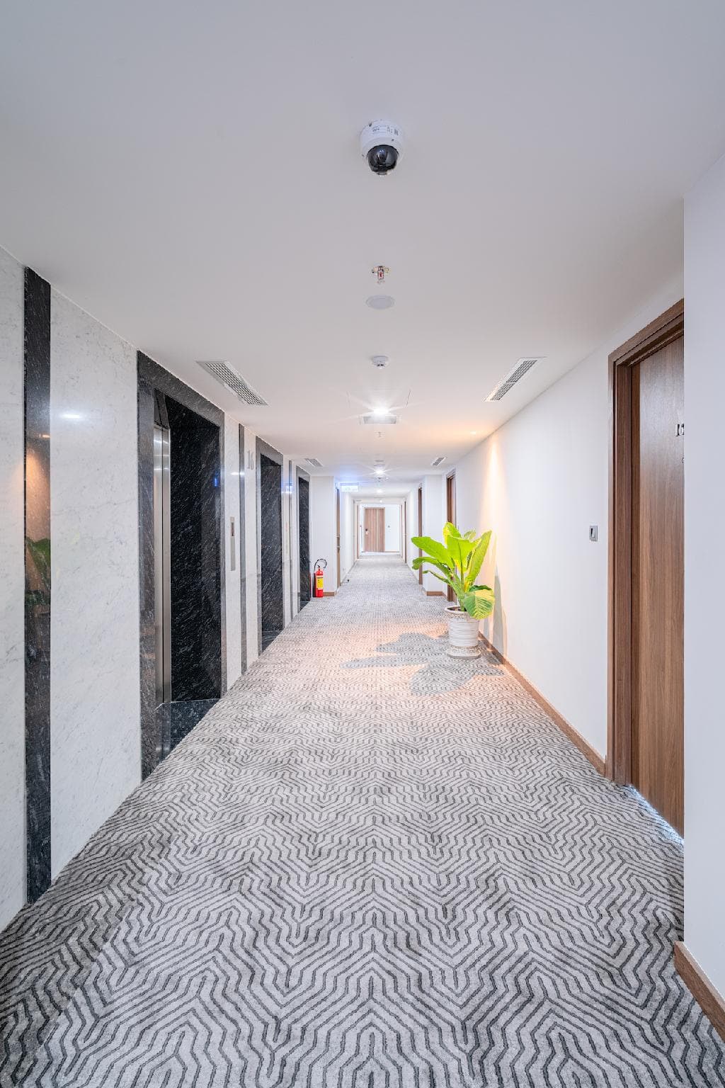 Gonsala Hotel Nha Trang photo 4
