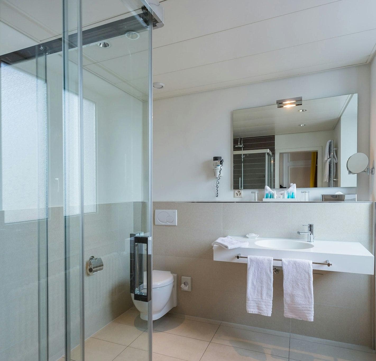 Euler Hotel Basel