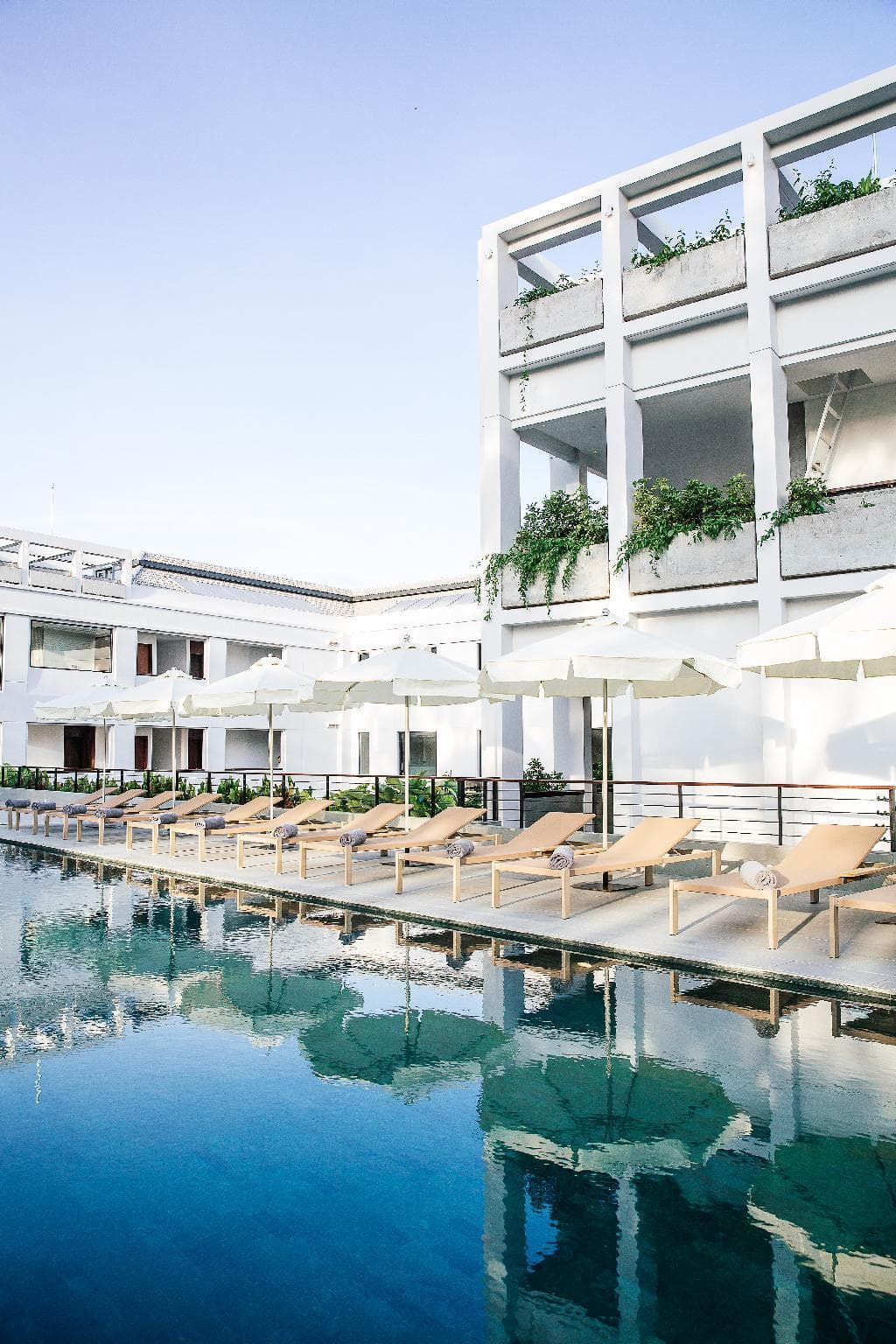 Treeline Urban Resort photo 4