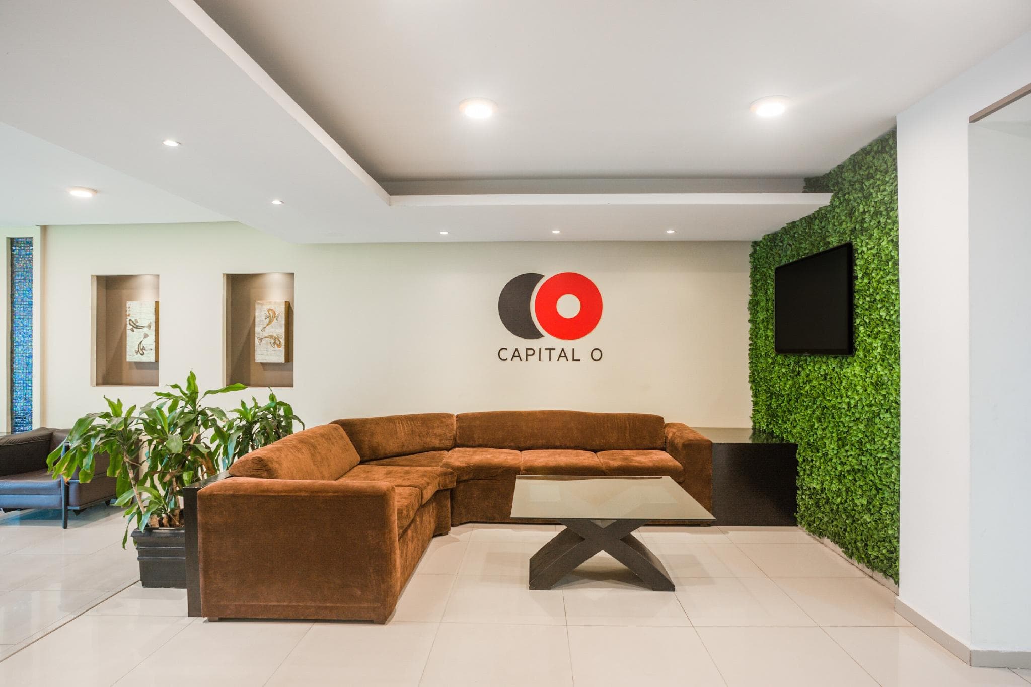 Capital O Veracruz Suites photo 4