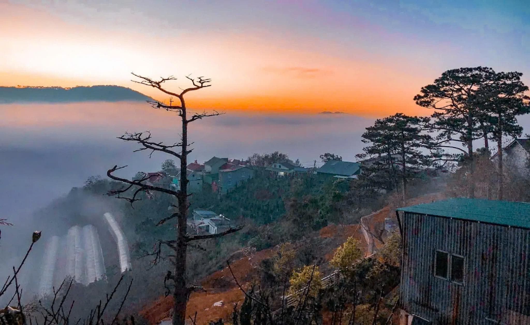 Dalat Harmony Garden photo 3
