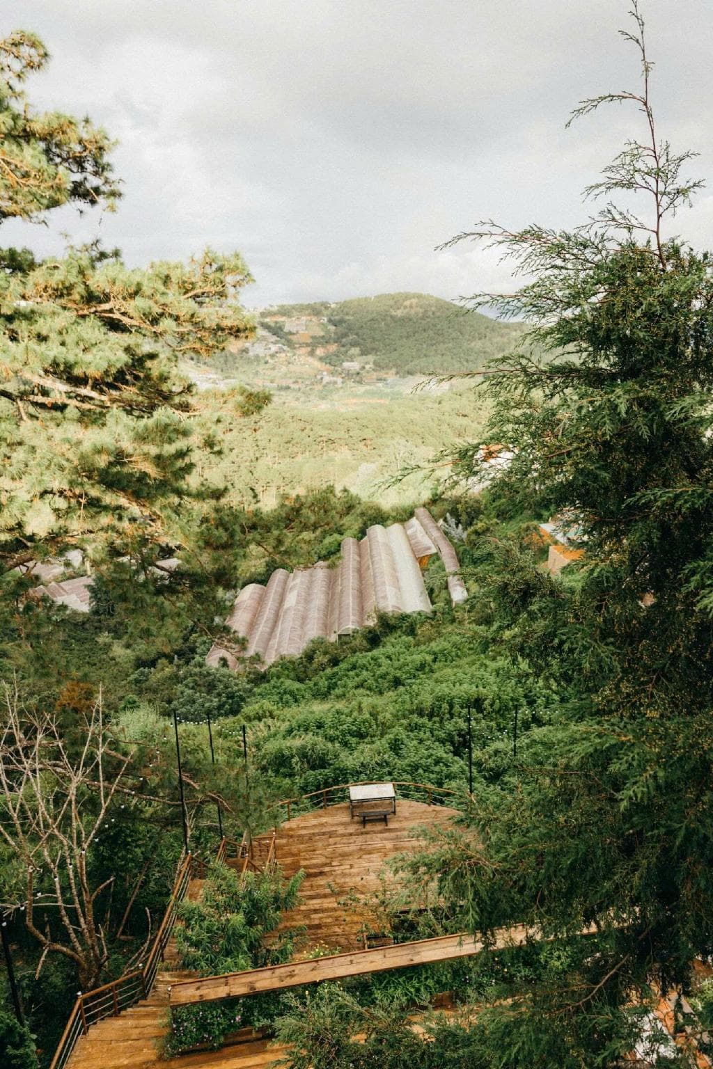 Dalat Harmony Garden photo 4