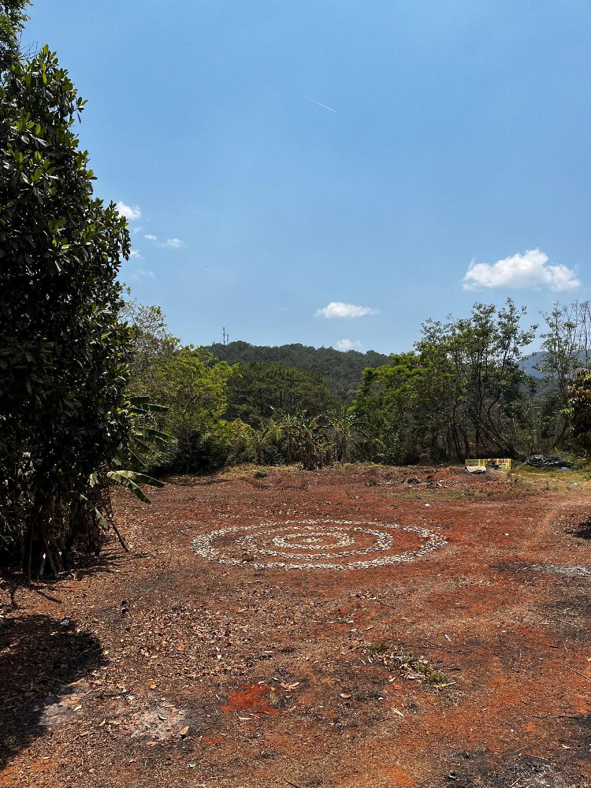 Vạn Tùng Homestay & Café photo 4