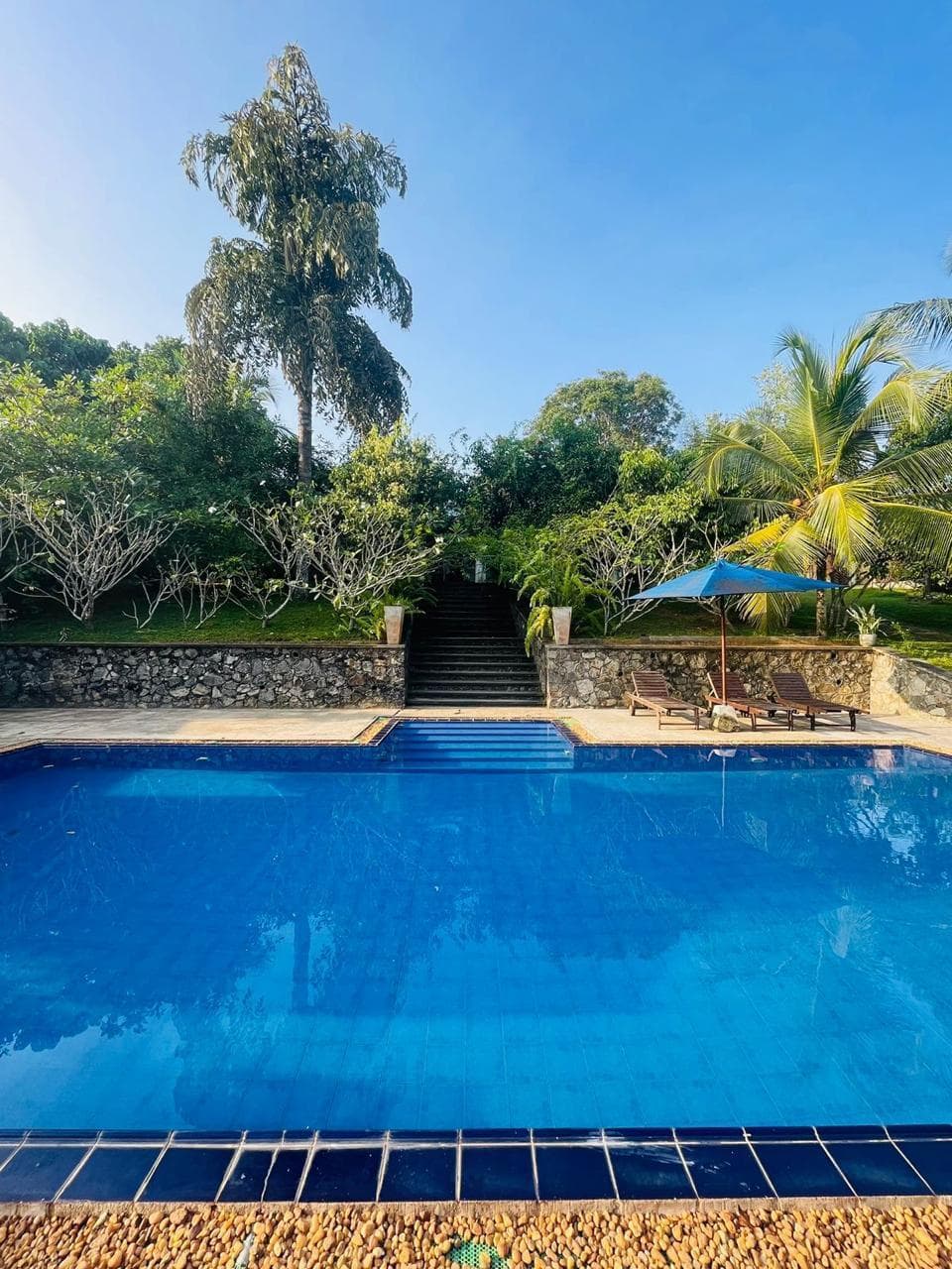 The Nature Palace Villa
